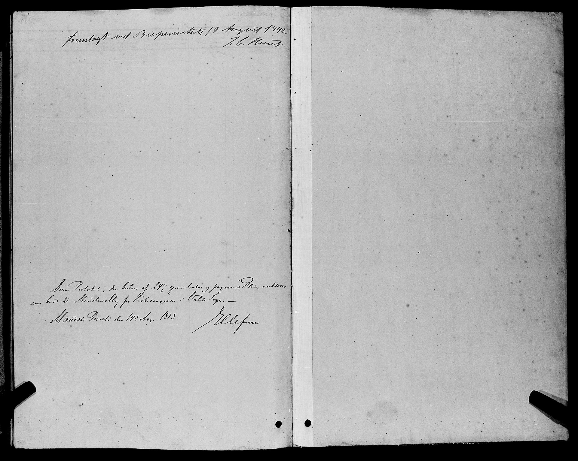 Sør-Audnedal sokneprestkontor, AV/SAK-1111-0039/F/Fb/Fbb/L0005: Parish register (copy) no. B 5, 1880-1892, p. 204