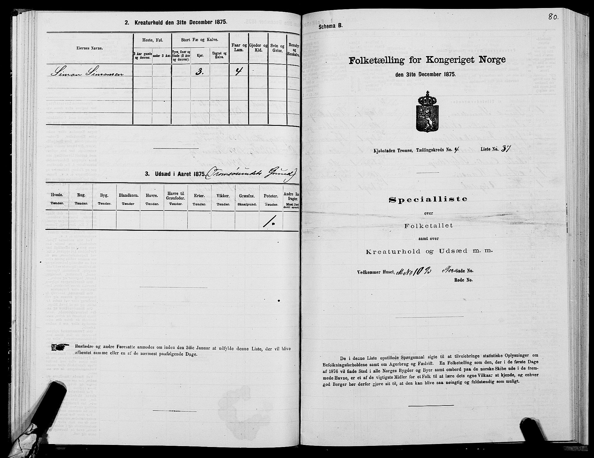 SATØ, 1875 census for 1902P Tromsø, 1875, p. 3080