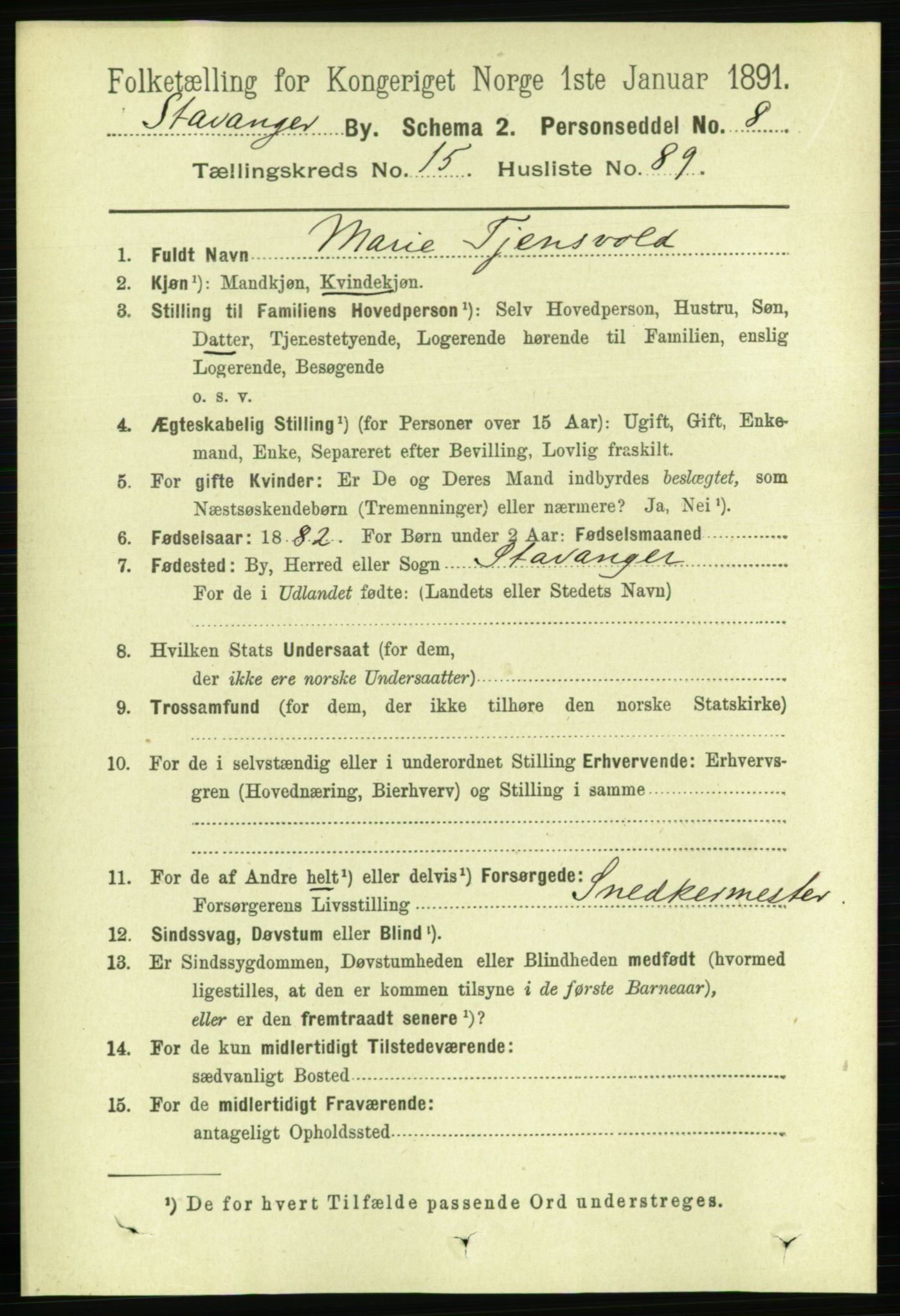 RA, 1891 census for 1103 Stavanger, 1891, p. 18724