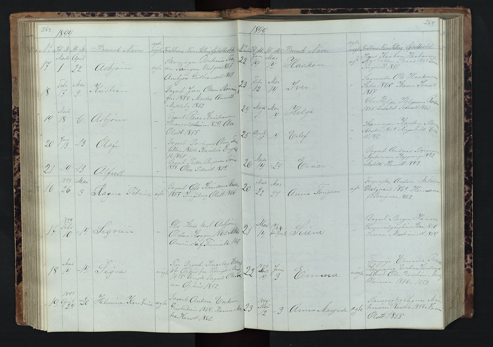 Stor-Elvdal prestekontor, AV/SAH-PREST-052/H/Ha/Hab/L0001: Parish register (copy) no. 1 /1, 1860-1894, p. 263-264