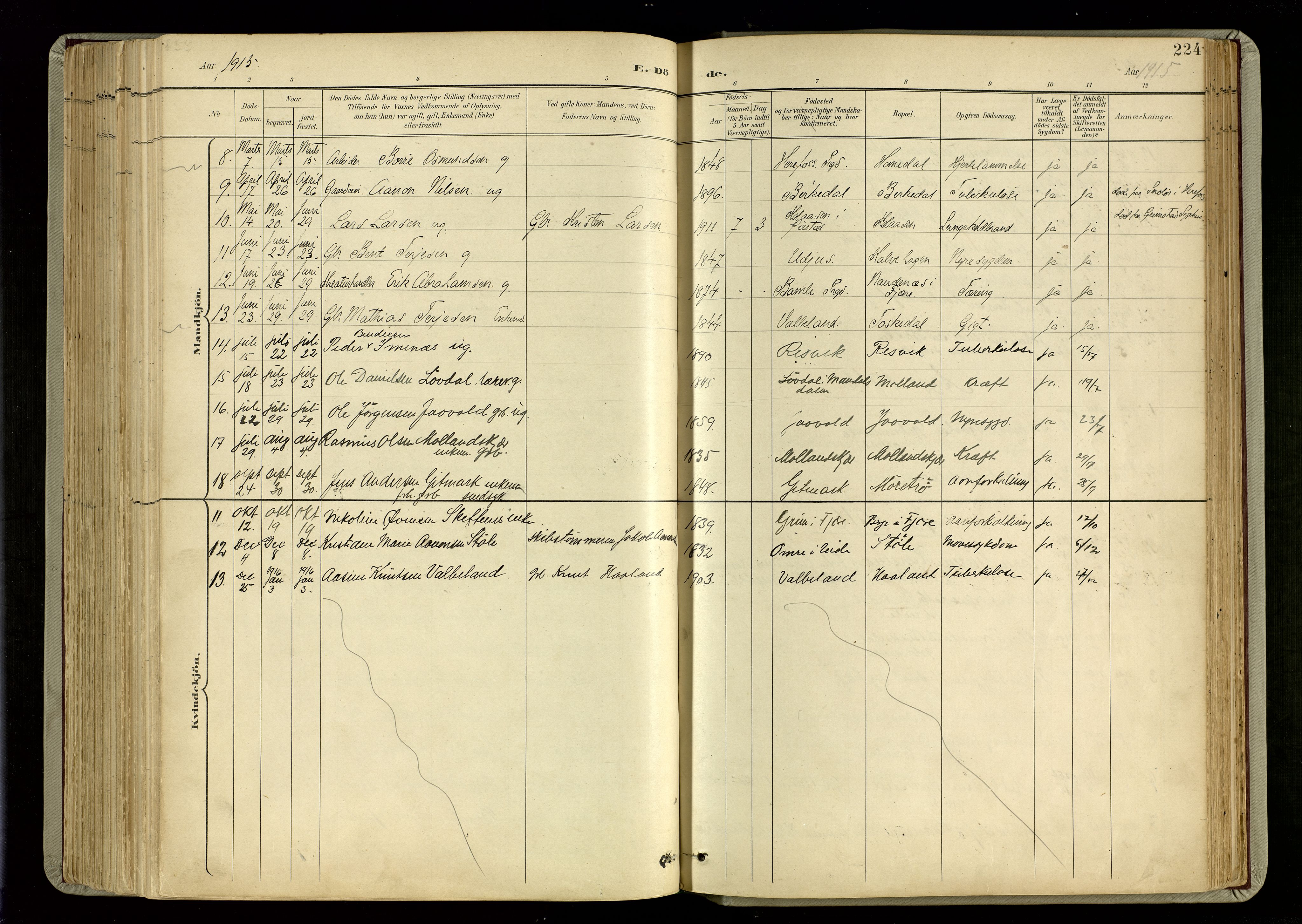 Hommedal sokneprestkontor, AV/SAK-1111-0023/F/Fa/Fab/L0007: Parish register (official) no. A 7, 1898-1924, p. 224