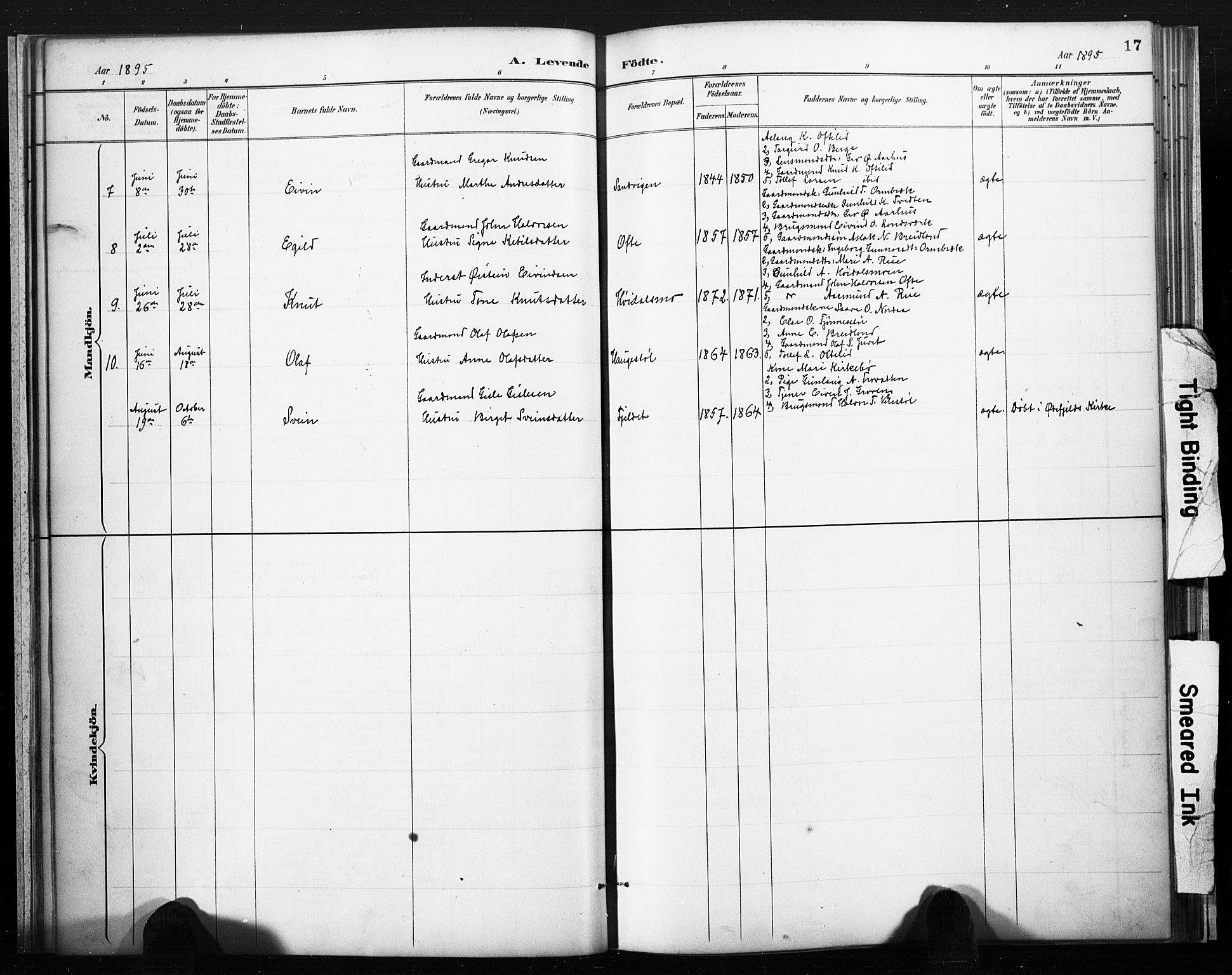 Lårdal kirkebøker, AV/SAKO-A-284/F/Fc/L0002: Parish register (official) no. III 2, 1887-1906, p. 17