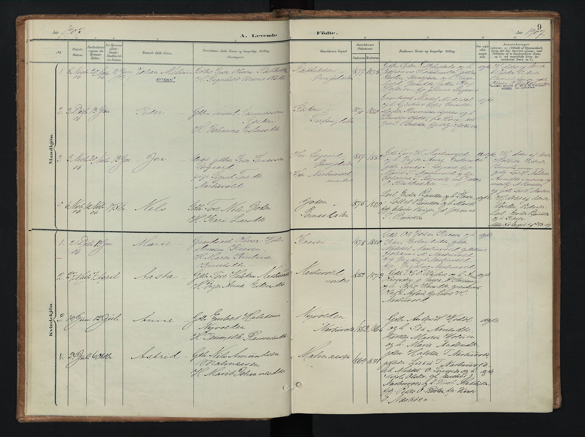 Tolga prestekontor, SAH/PREST-062/K/L0010: Parish register (official) no. 10, 1901-1915, p. 9