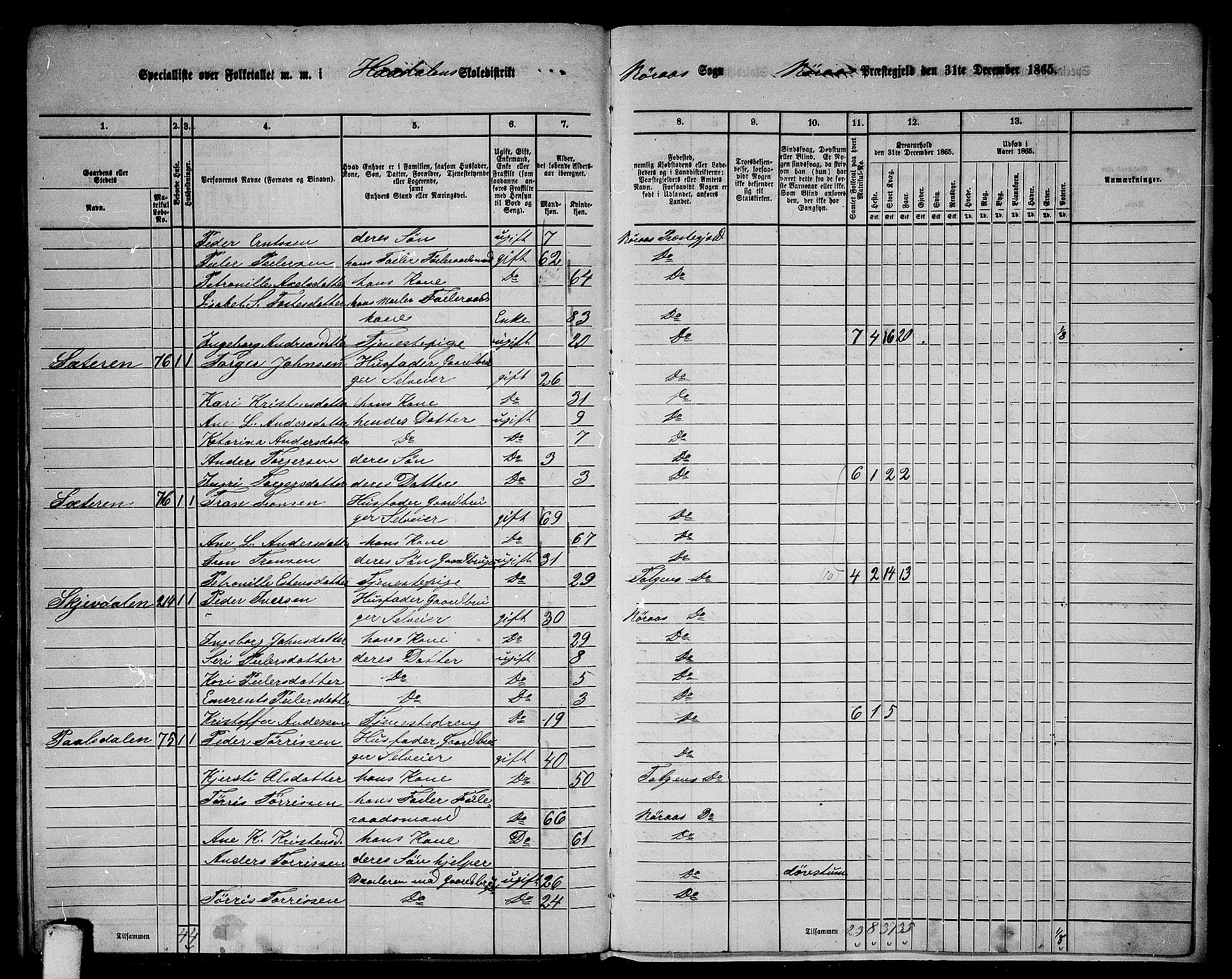 RA, 1865 census for Røros, 1865, p. 163