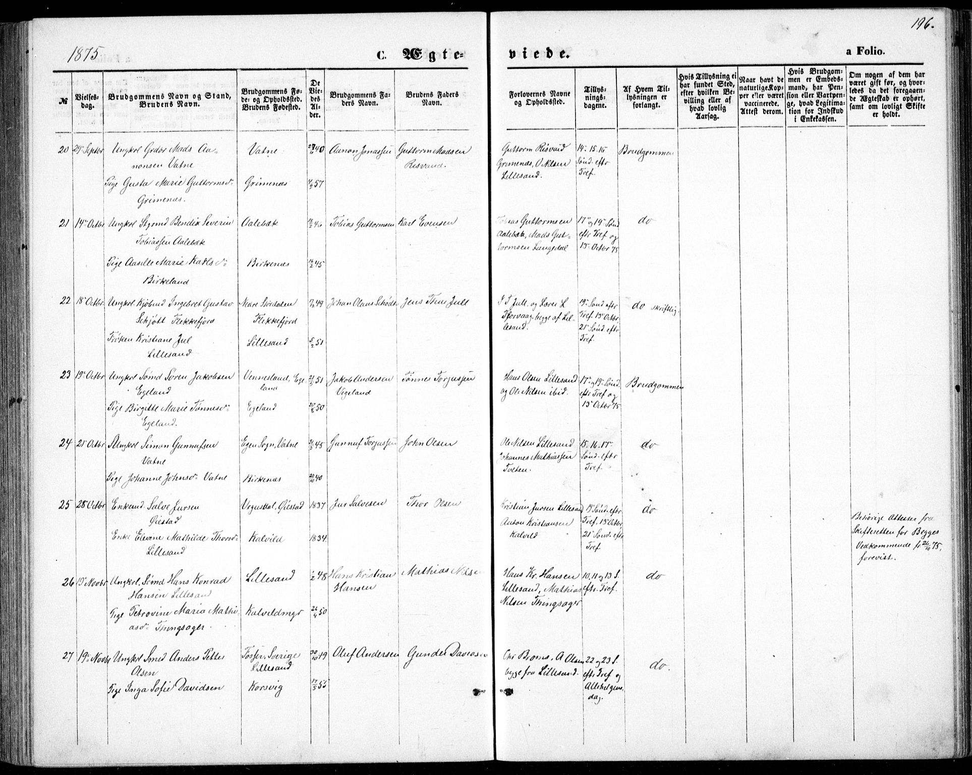 Vestre Moland sokneprestkontor, AV/SAK-1111-0046/F/Fb/Fbb/L0005: Parish register (copy) no. B 5, 1872-1883, p. 196