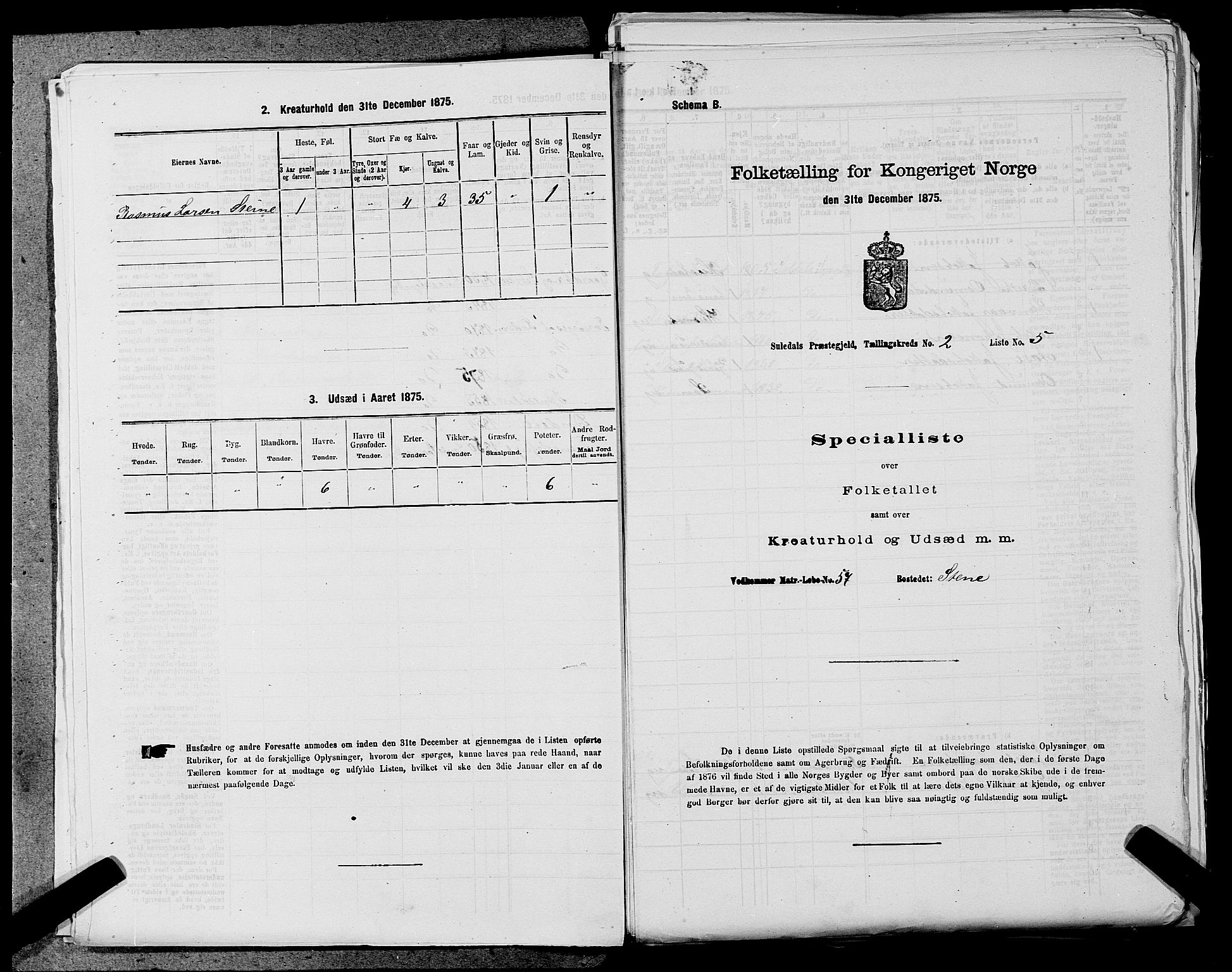 SAST, 1875 census for 1134P Suldal, 1875, p. 176