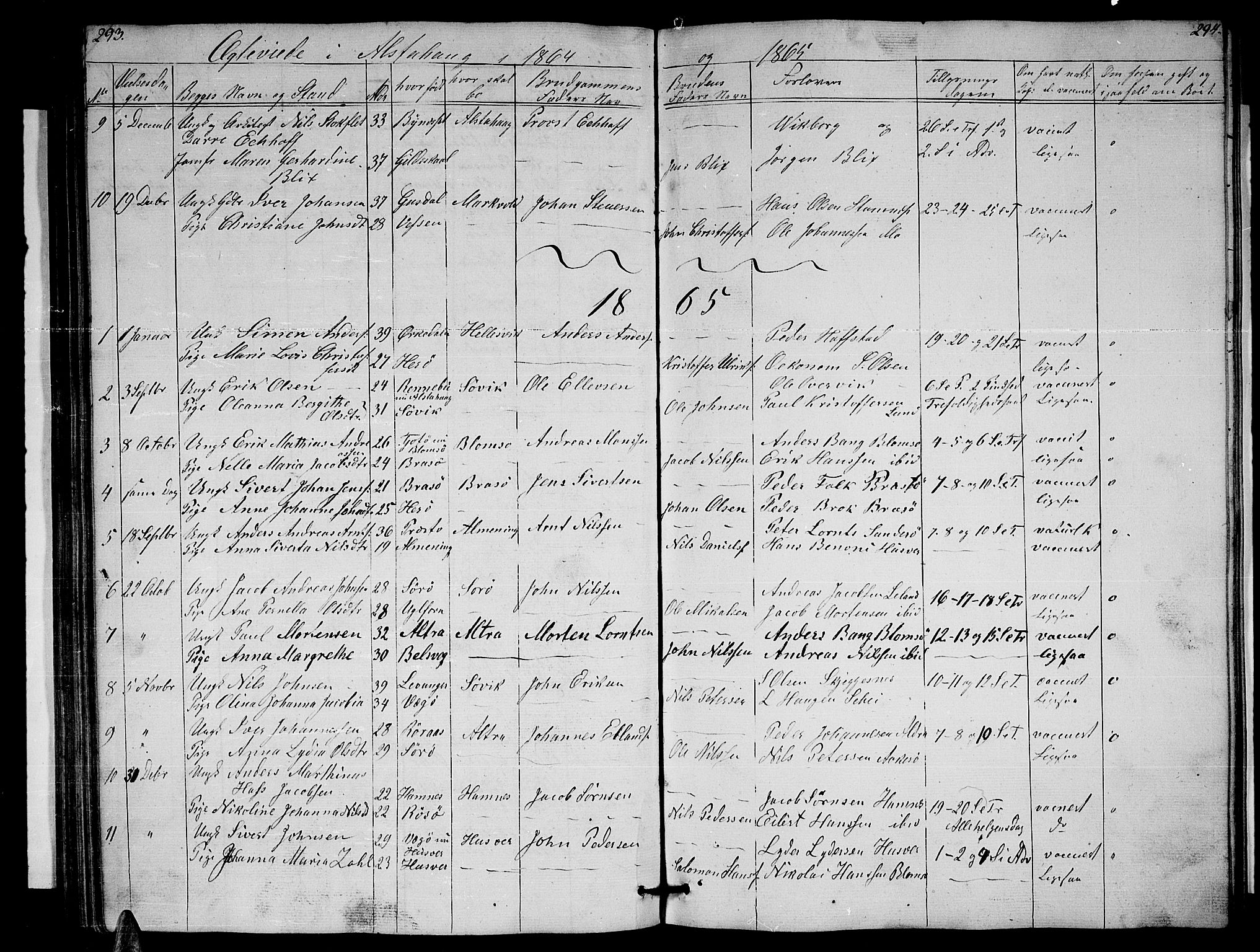 Ministerialprotokoller, klokkerbøker og fødselsregistre - Nordland, AV/SAT-A-1459/830/L0460: Parish register (copy) no. 830C02, 1843-1865, p. 293-294