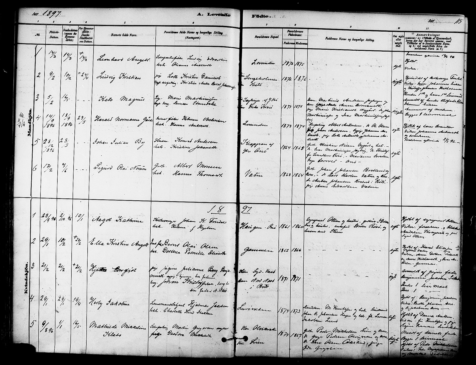 Ministerialprotokoller, klokkerbøker og fødselsregistre - Nordland, AV/SAT-A-1459/839/L0568: Parish register (official) no. 839A05, 1880-1902, p. 115