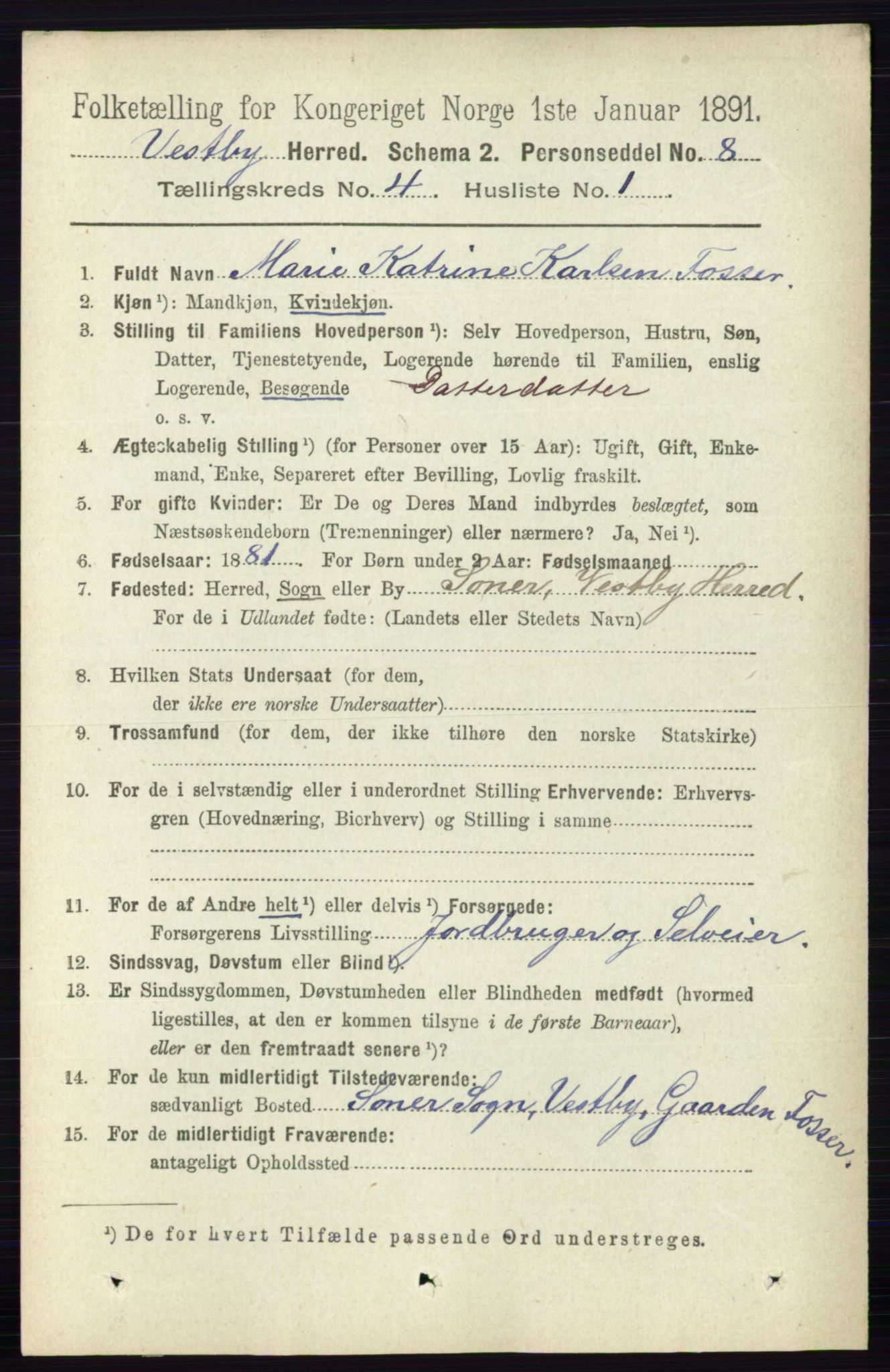 RA, 1891 census for 0211 Vestby, 1891, p. 1584