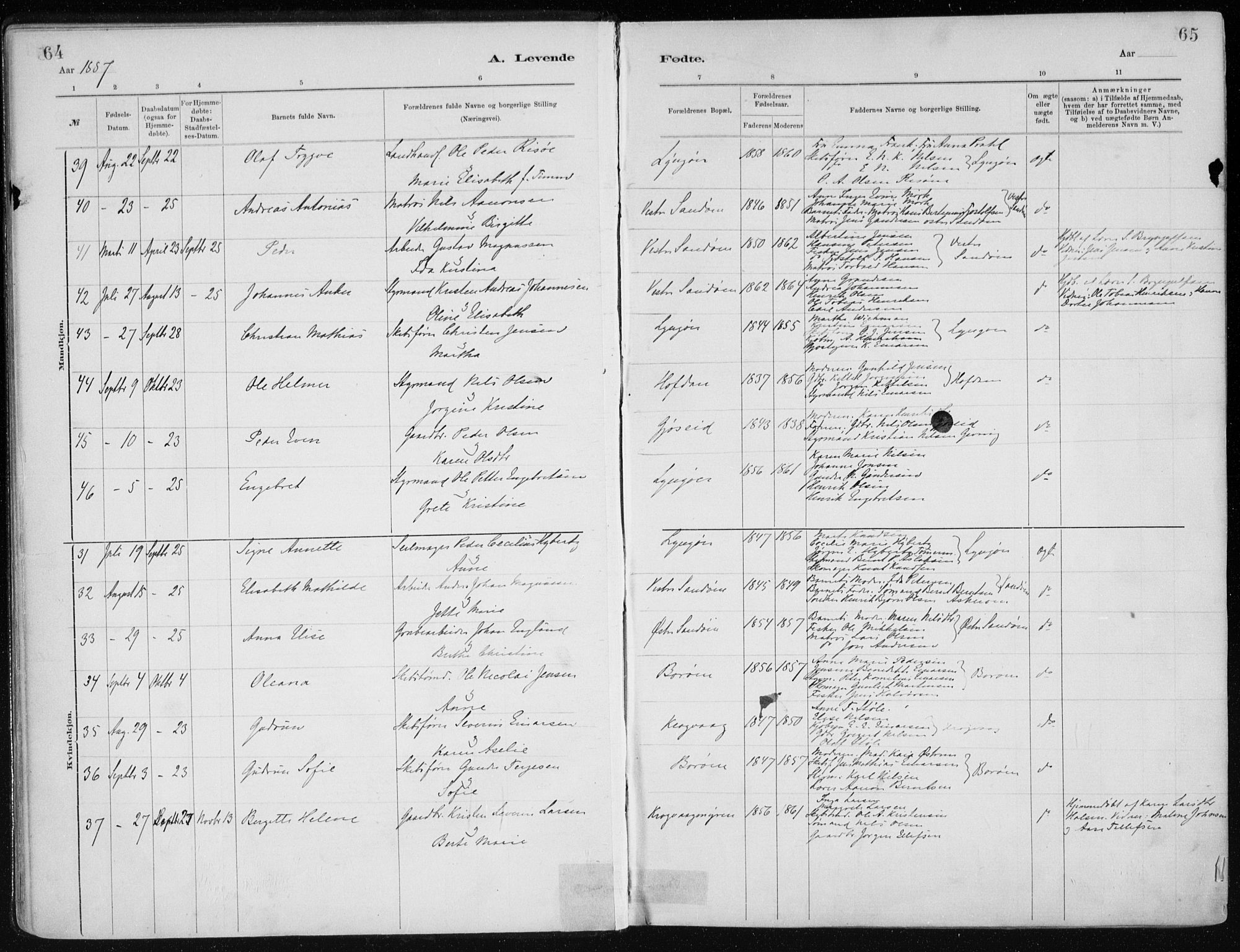 Dypvåg sokneprestkontor, AV/SAK-1111-0007/F/Fa/Faa/L0008: Parish register (official) no. A 8, 1885-1906, p. 64-65