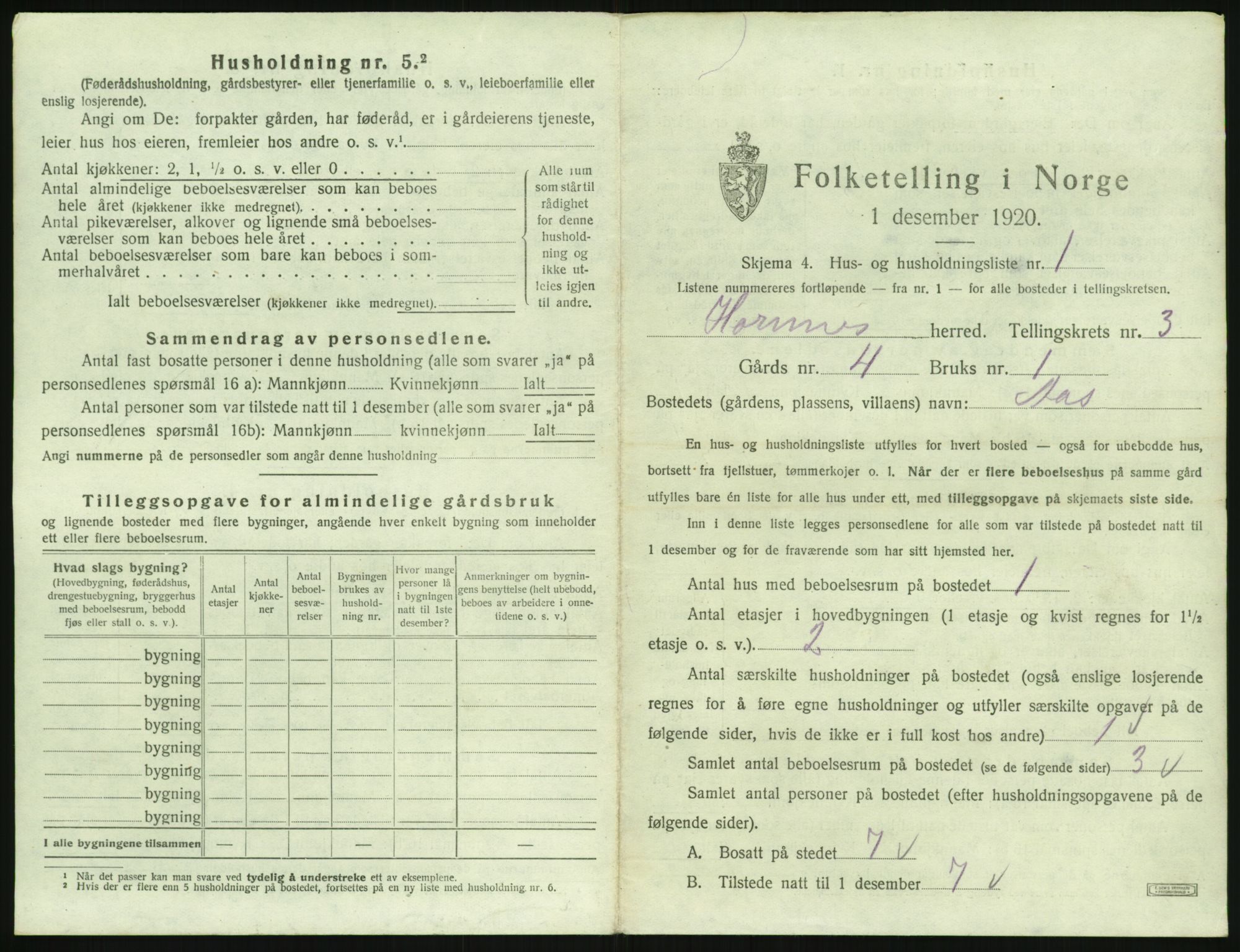 SAK, 1920 census for Hornnes, 1920, p. 117