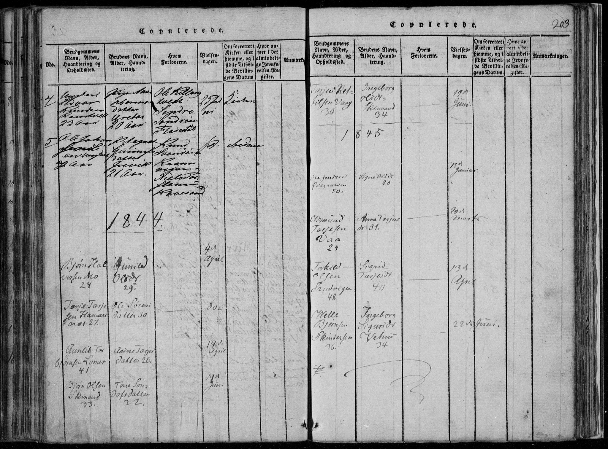 Rauland kirkebøker, SAKO/A-292/F/Fa/L0001: Parish register (official) no. 1, 1814-1859, p. 203