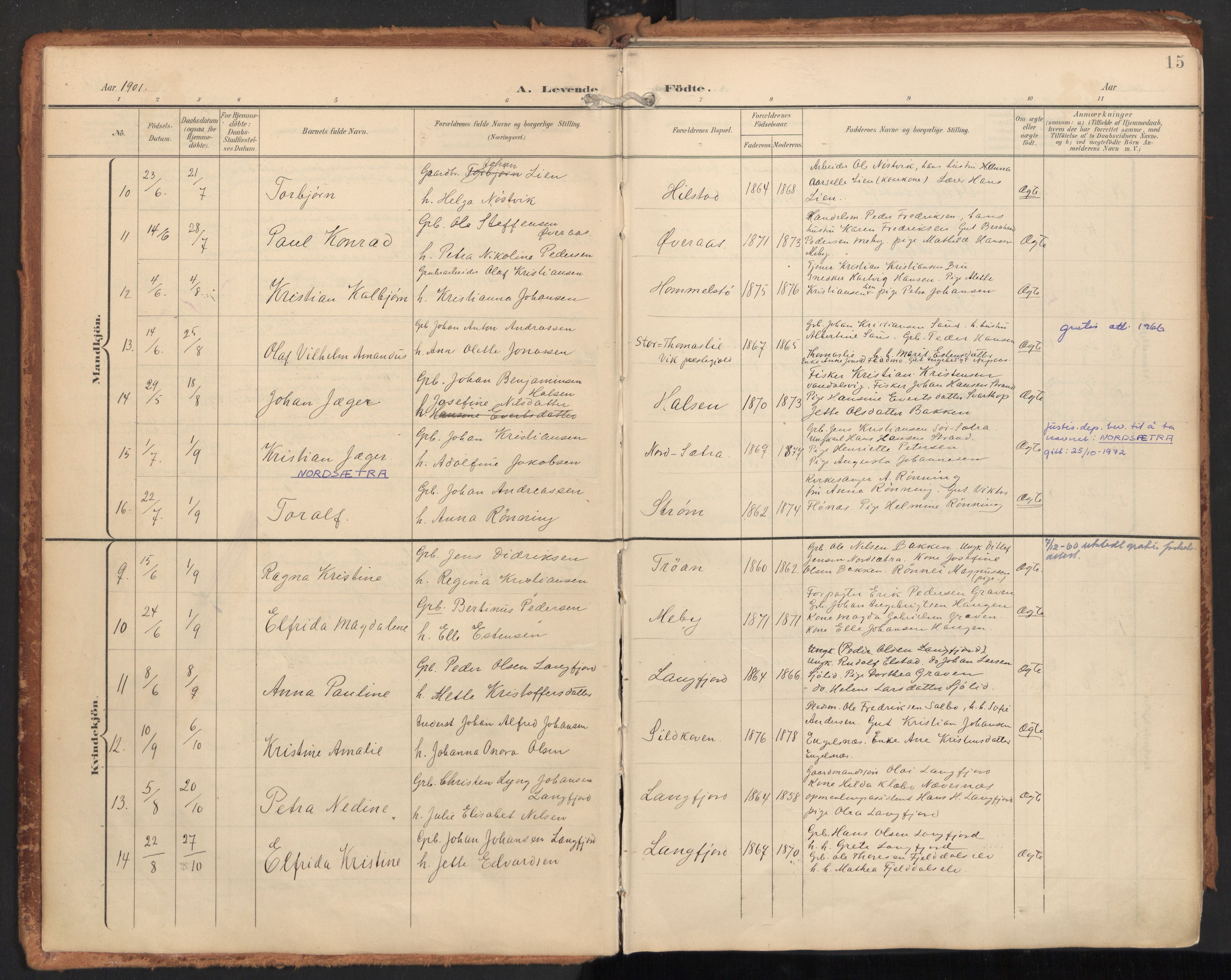 Ministerialprotokoller, klokkerbøker og fødselsregistre - Nordland, SAT/A-1459/814/L0227: Parish register (official) no. 814A08, 1899-1920, p. 15