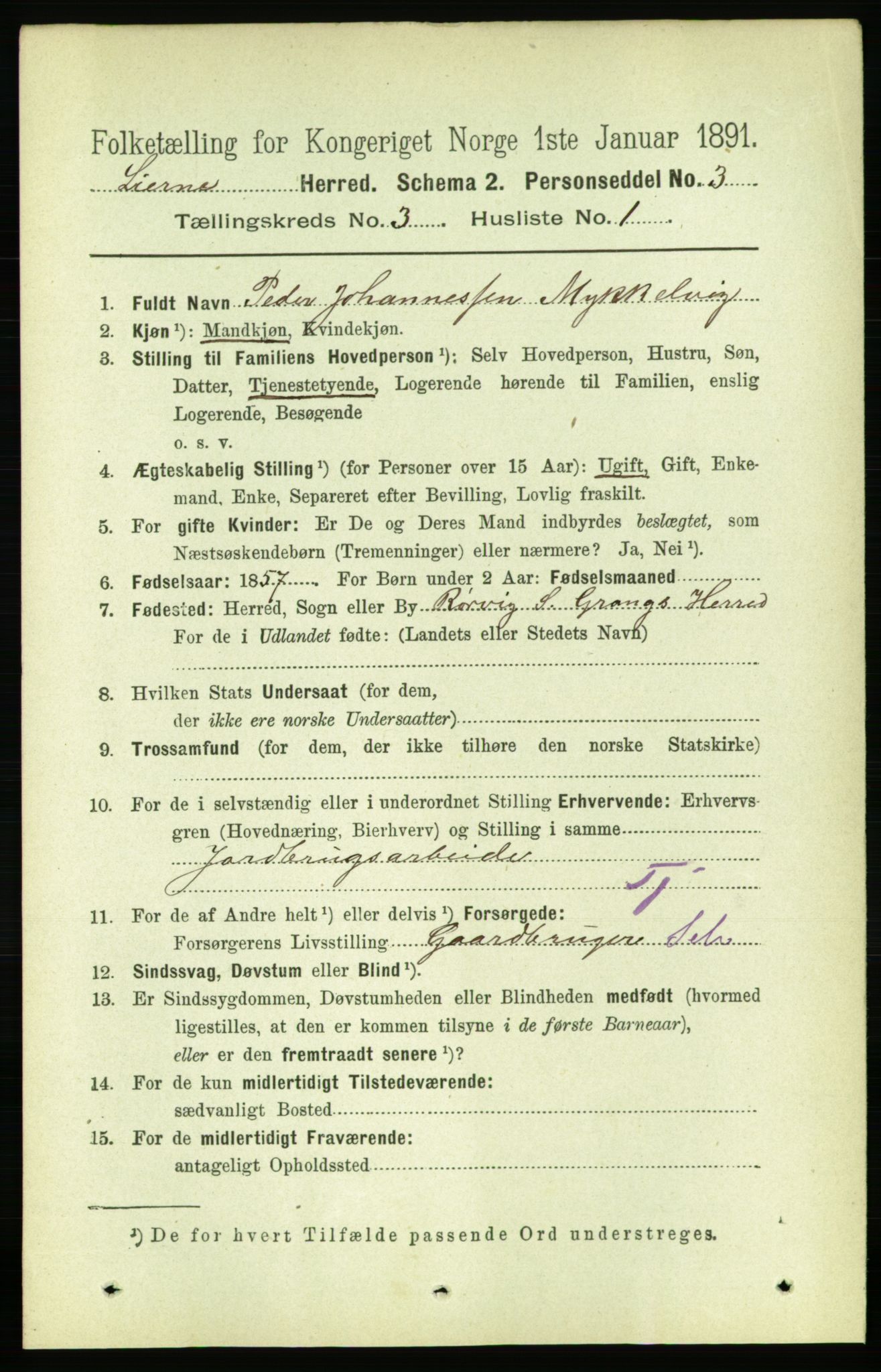 RA, 1891 census for 1737 Lierne, 1891, p. 794