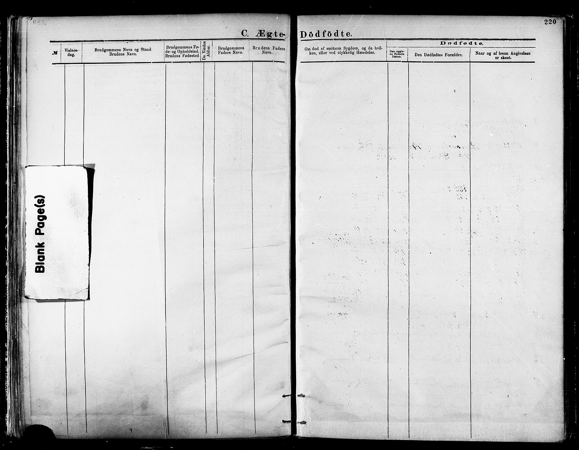 Nesseby sokneprestkontor, AV/SATØ-S-1330/H/Ha/L0004kirke: Parish register (official) no. 4, 1877-1884, p. 220