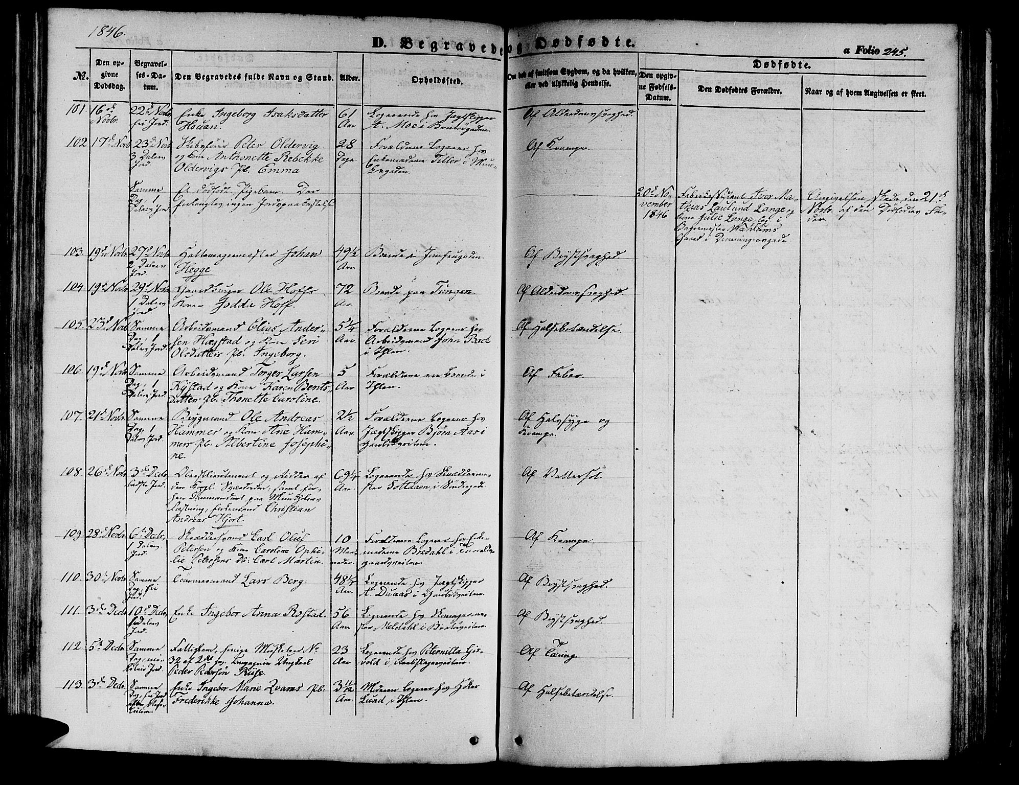 Ministerialprotokoller, klokkerbøker og fødselsregistre - Sør-Trøndelag, AV/SAT-A-1456/602/L0137: Parish register (copy) no. 602C05, 1846-1856, p. 245