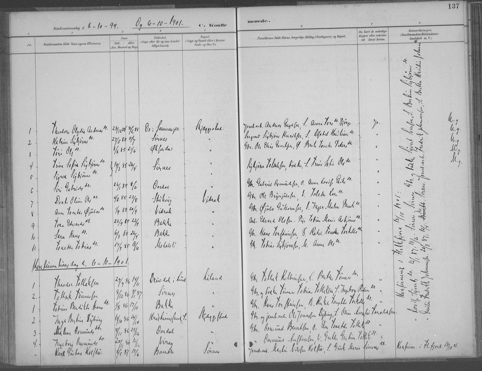 Bakke sokneprestkontor, SAK/1111-0002/F/Fa/Faa/L0008: Parish register (official) no. A 8, 1887-1911, p. 137