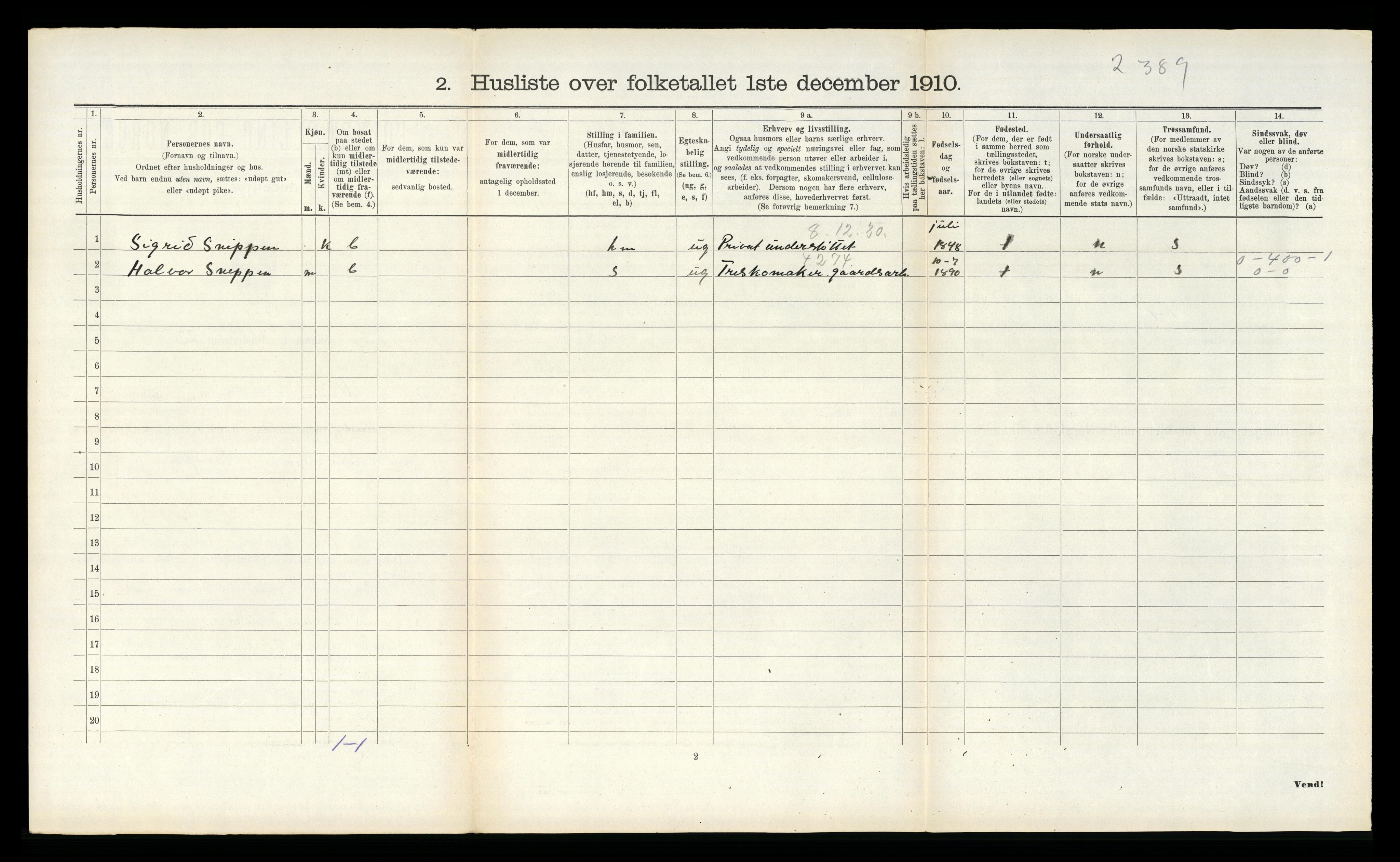 RA, 1910 census for Vinje, 1910, p. 161