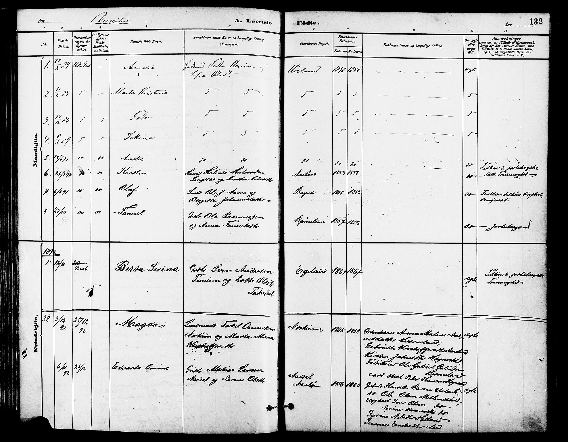 Lye sokneprestkontor, SAST/A-101794/001/30BA/L0009: Parish register (official) no. A 8, 1881-1892, p. 132