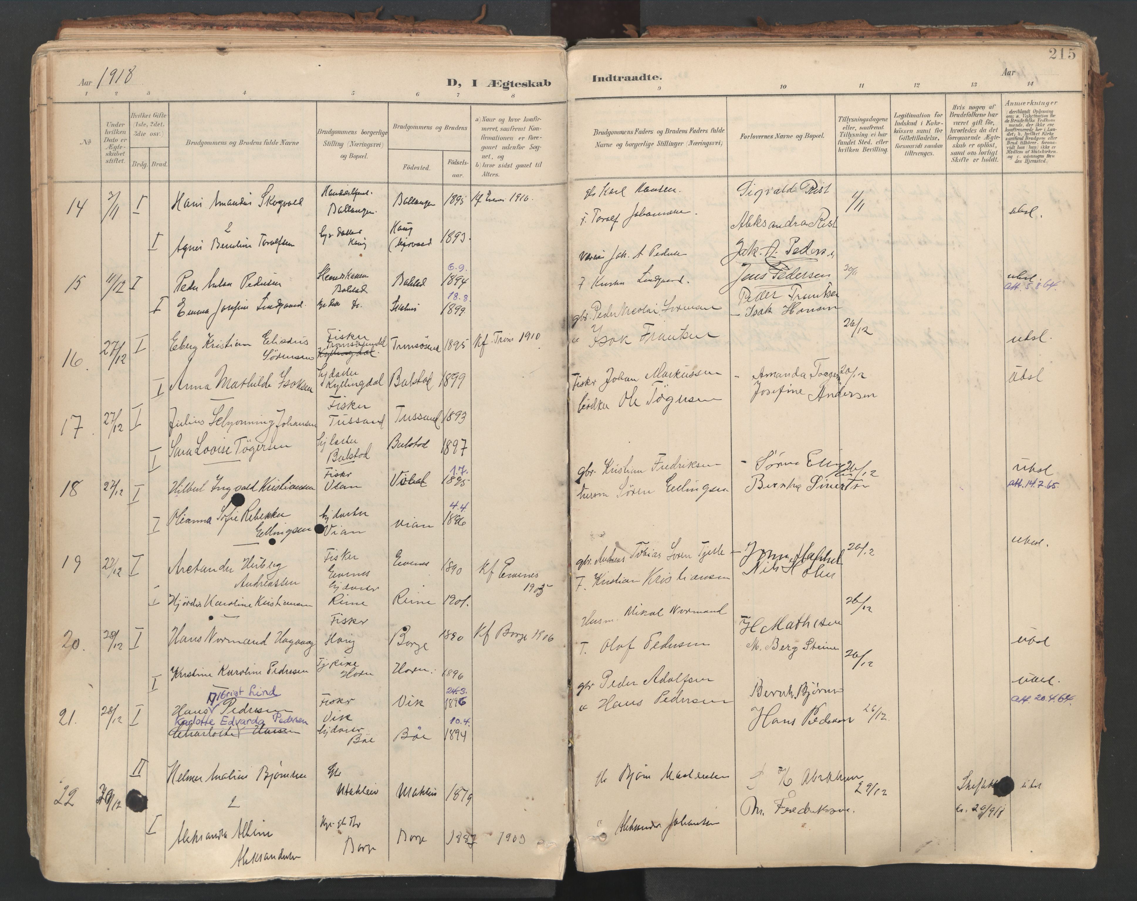 Ministerialprotokoller, klokkerbøker og fødselsregistre - Nordland, AV/SAT-A-1459/881/L1154: Parish register (official) no. 881A07, 1907-1918, p. 215