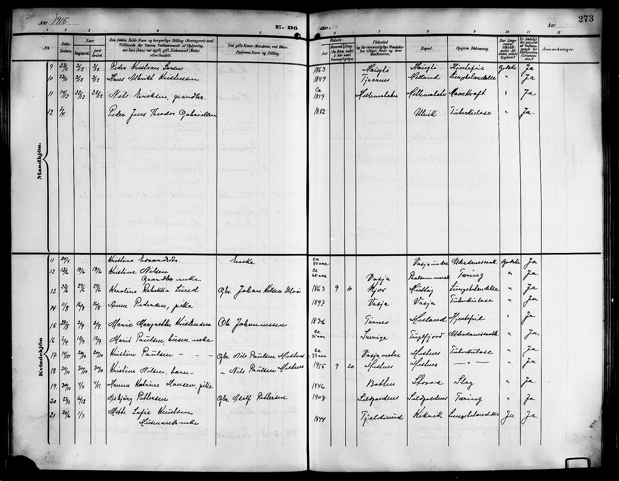 Ministerialprotokoller, klokkerbøker og fødselsregistre - Nordland, AV/SAT-A-1459/861/L0877: Parish register (copy) no. 861C03, 1903-1919, p. 273