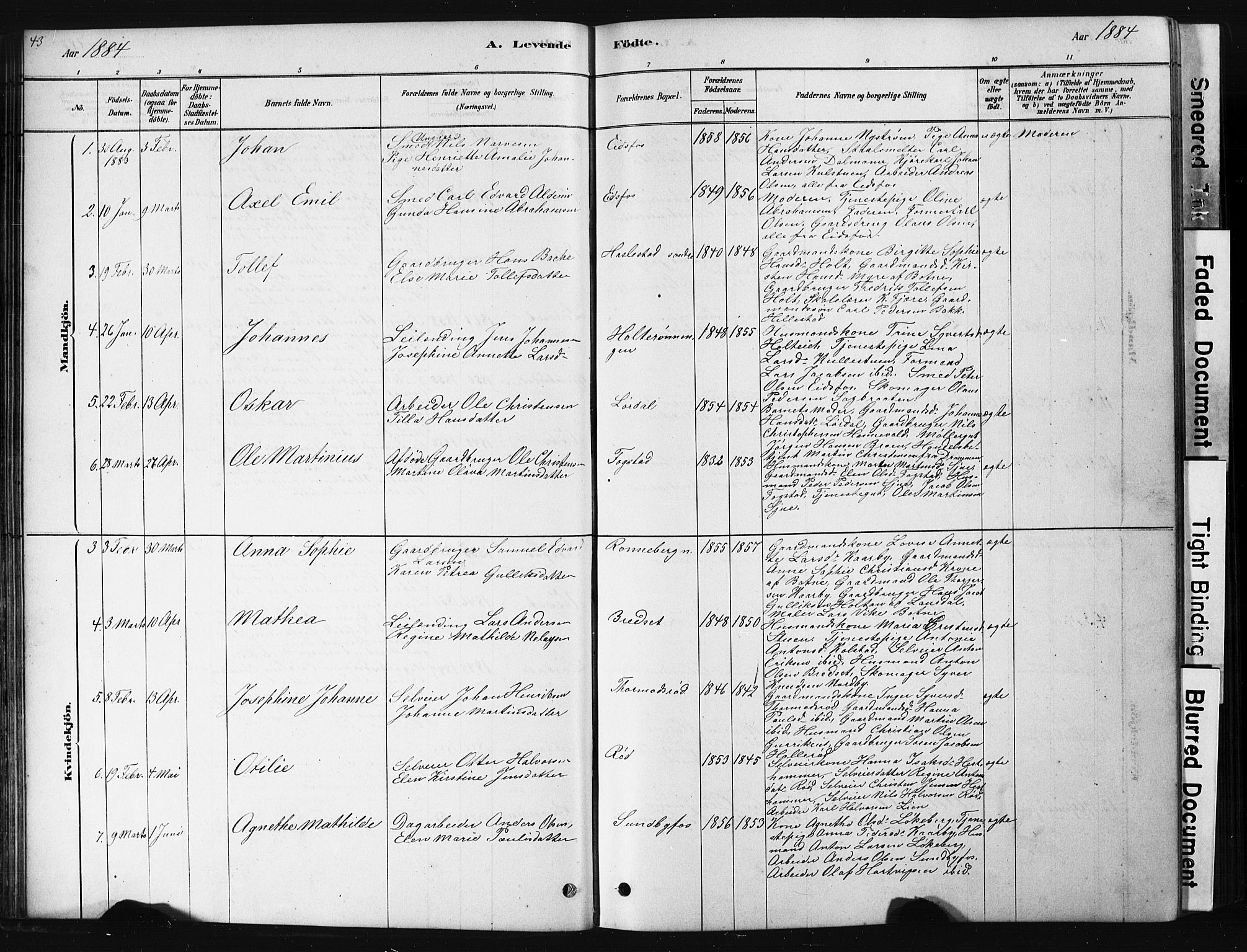 Hof kirkebøker, AV/SAKO-A-64/G/Ga/L0004: Parish register (copy) no. I 4, 1878-1930, p. 43