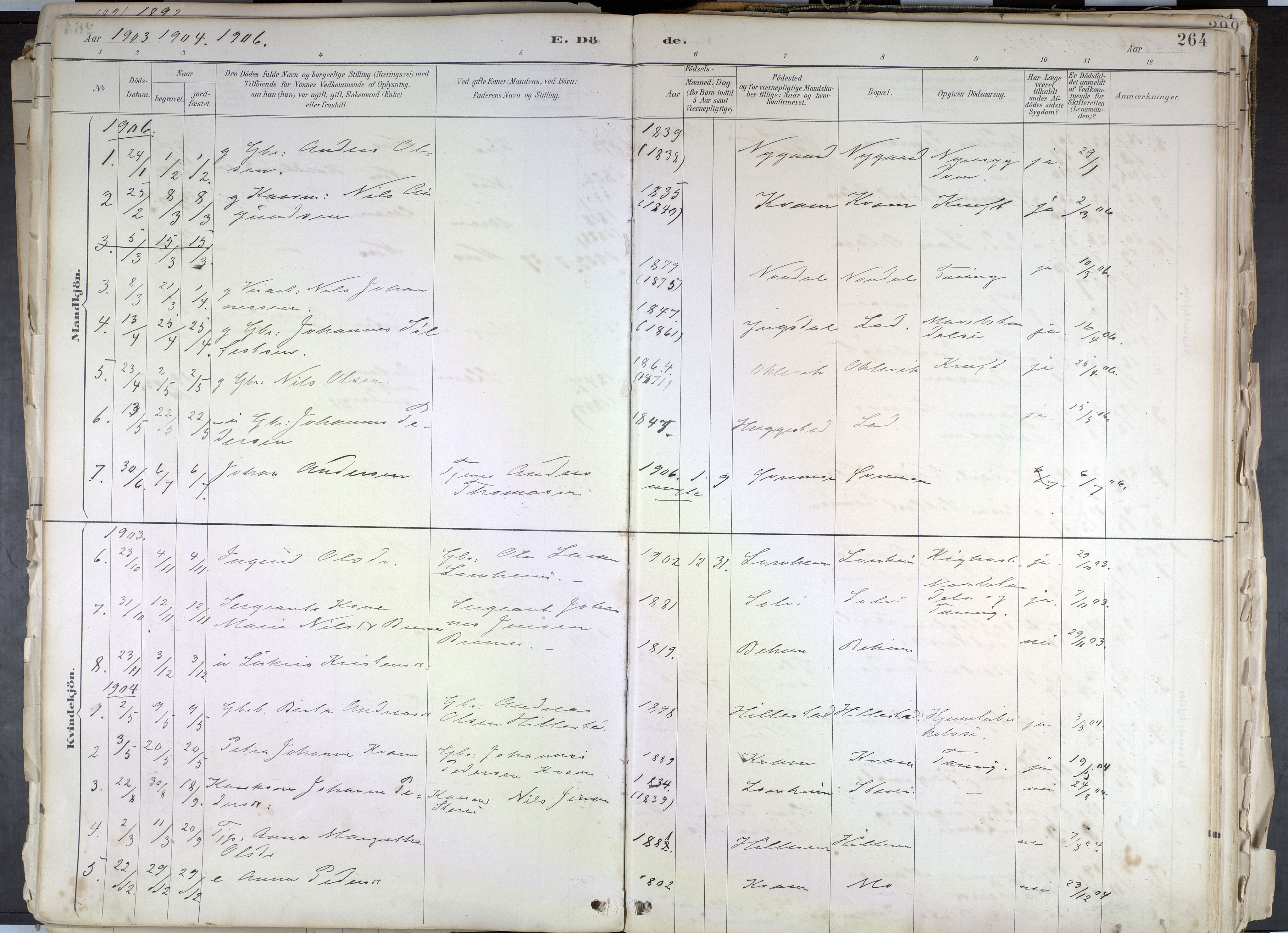 Hafslo sokneprestembete, AV/SAB-A-80301/H/Haa/Haab/L0001: Parish register (official) no. B 1, 1886-1945, p. 264