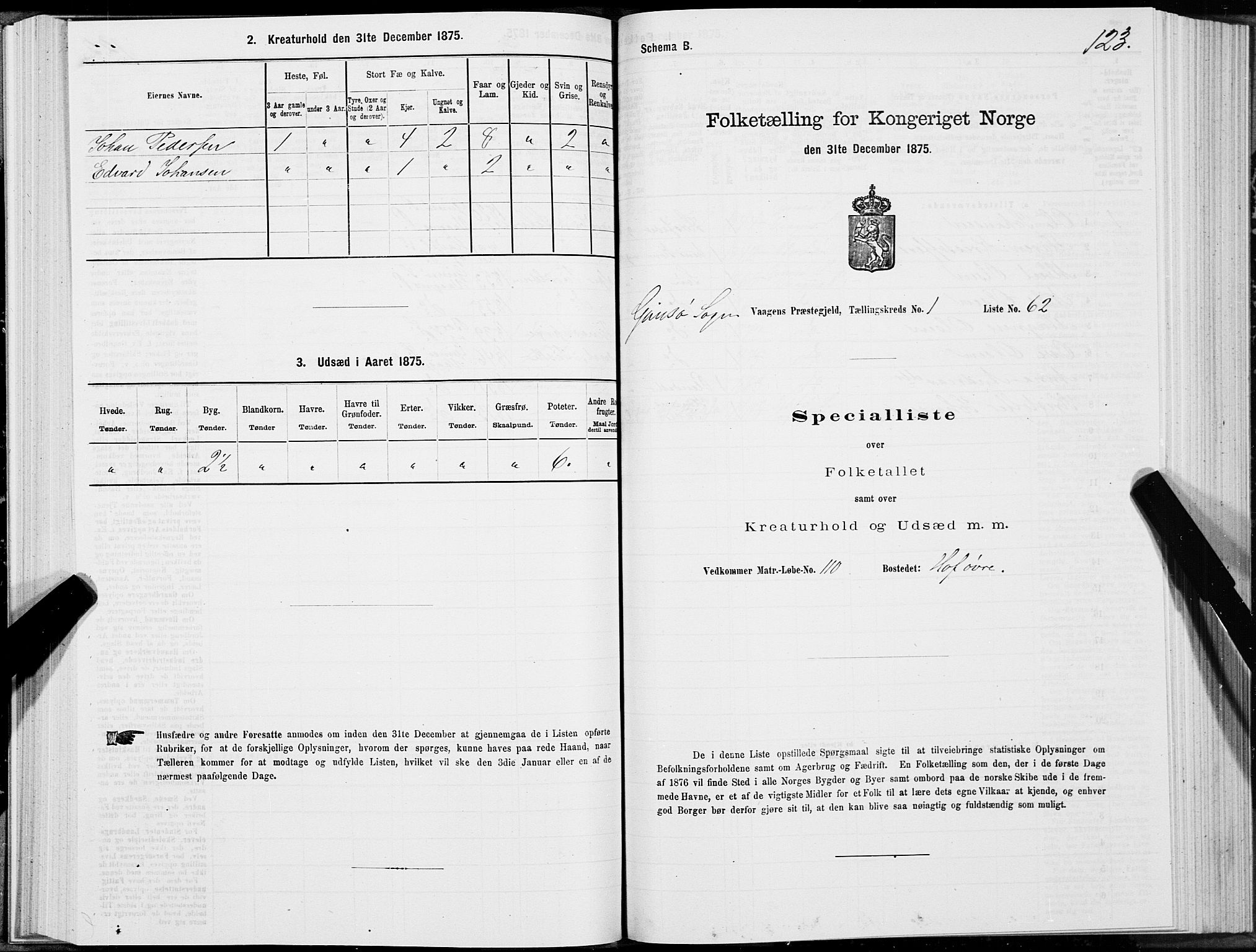 SAT, 1875 census for 1865P Vågan, 1875, p. 5123