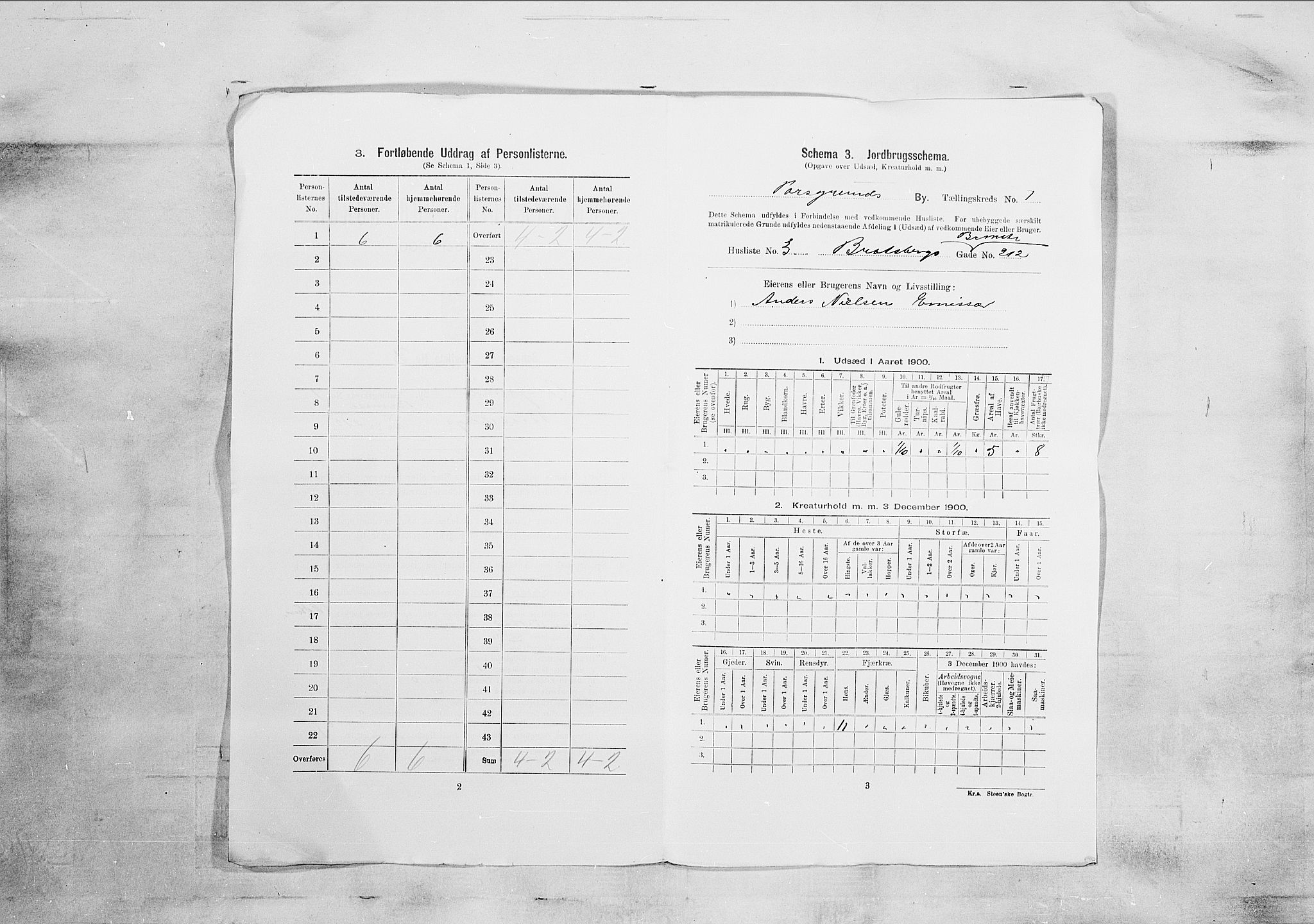 SAKO, 1900 census for Porsgrunn, 1900, p. 45