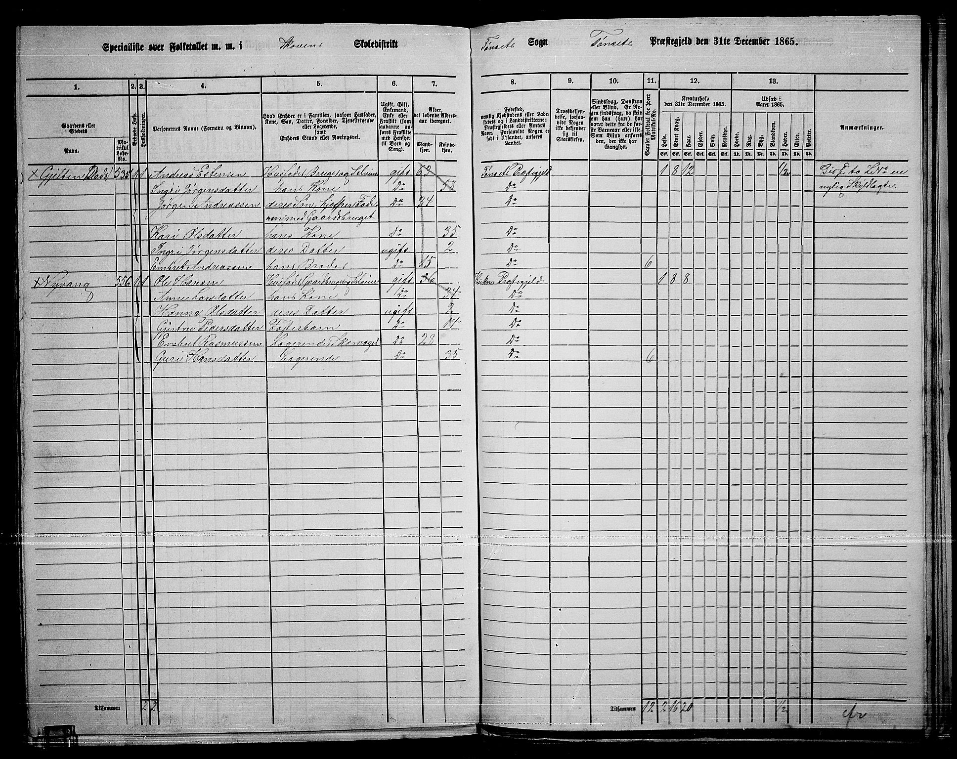 RA, 1865 census for Tynset, 1865, p. 113