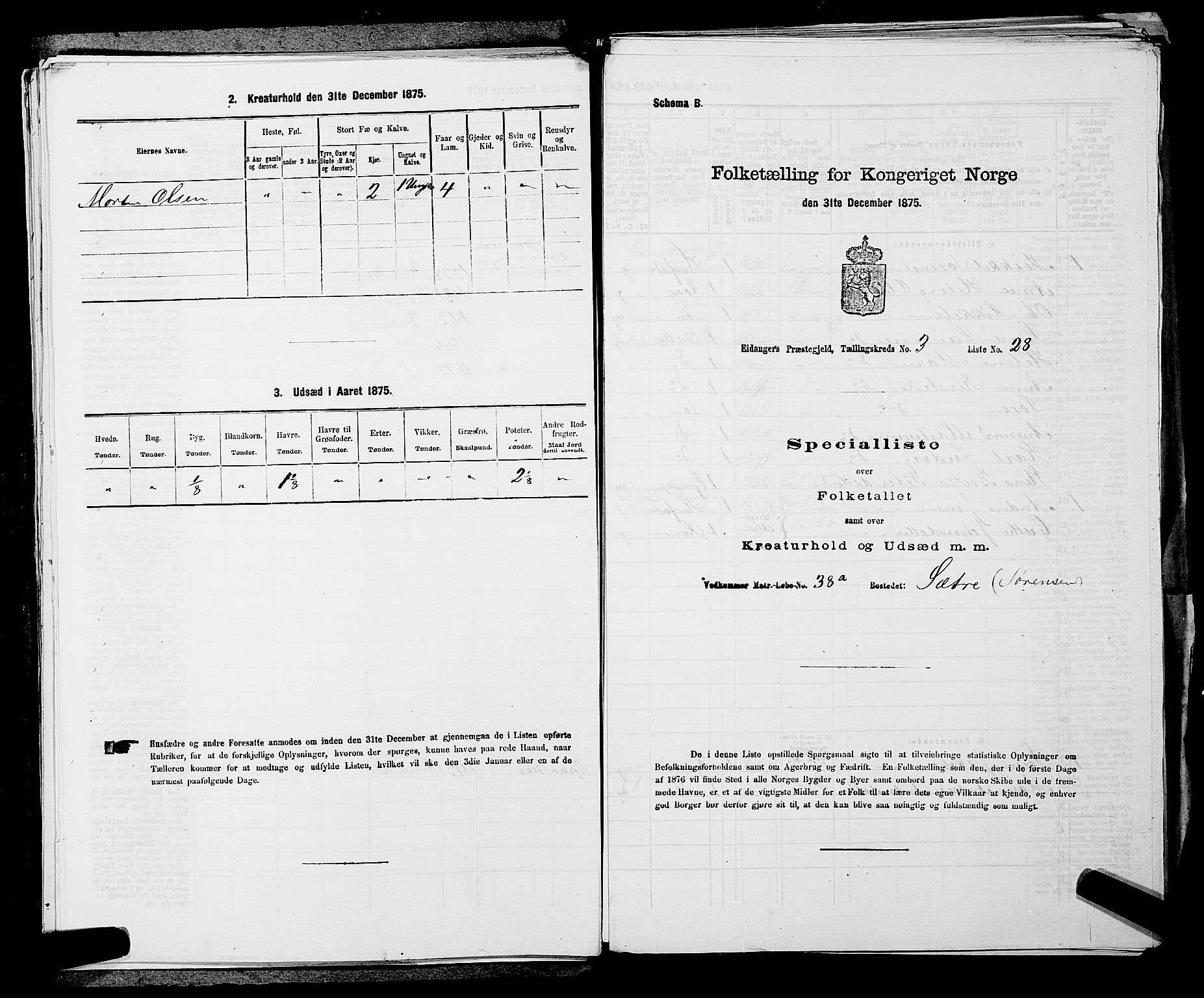 SAKO, 1875 census for 0813P Eidanger, 1875, p. 533