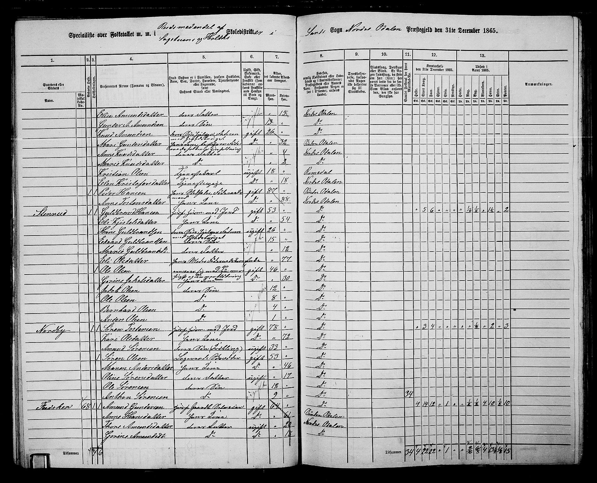 RA, 1865 census for Nord-Odal, 1865, p. 41