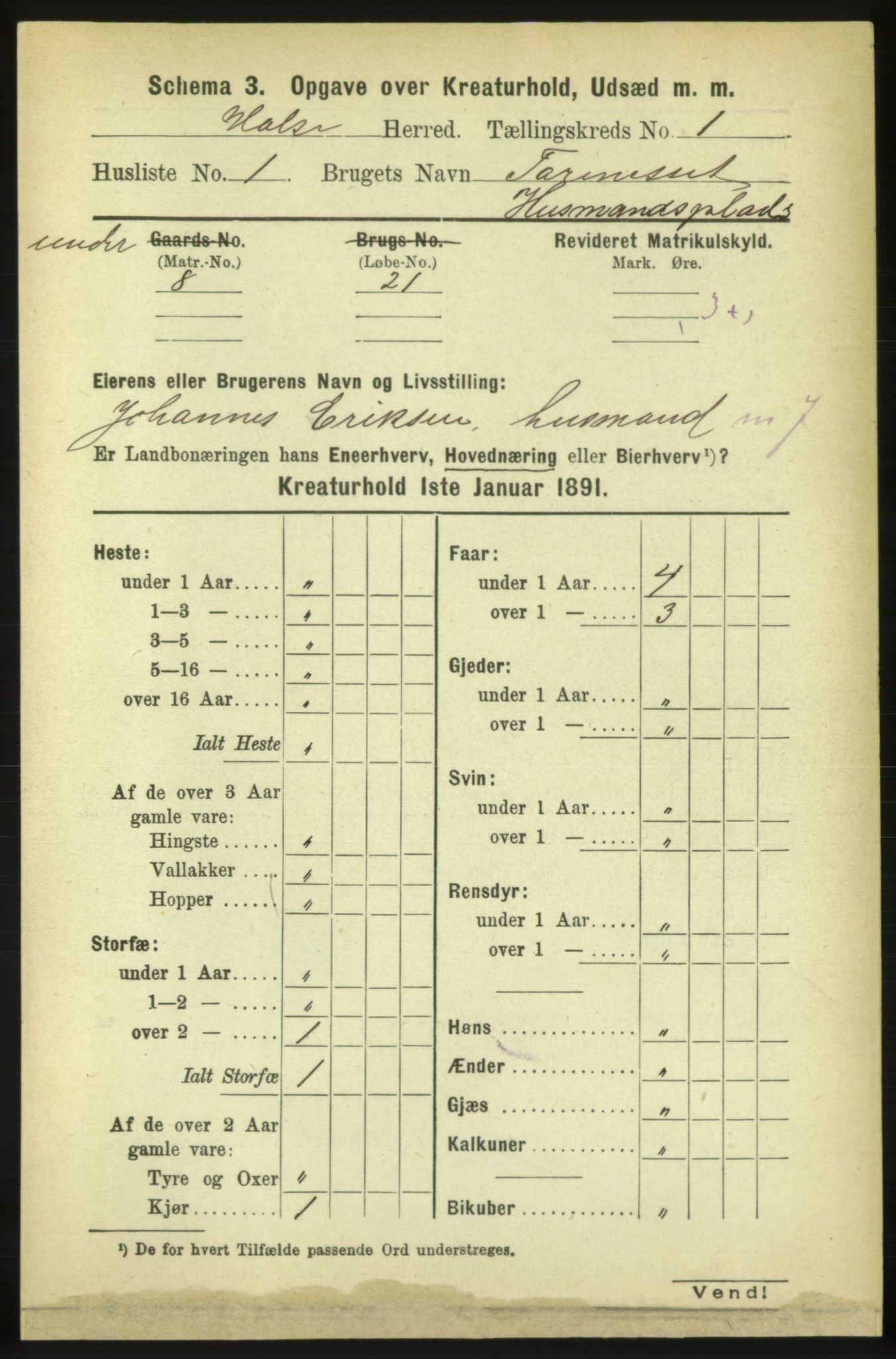 RA, 1891 census for 1571 Halsa, 1891, p. 1874