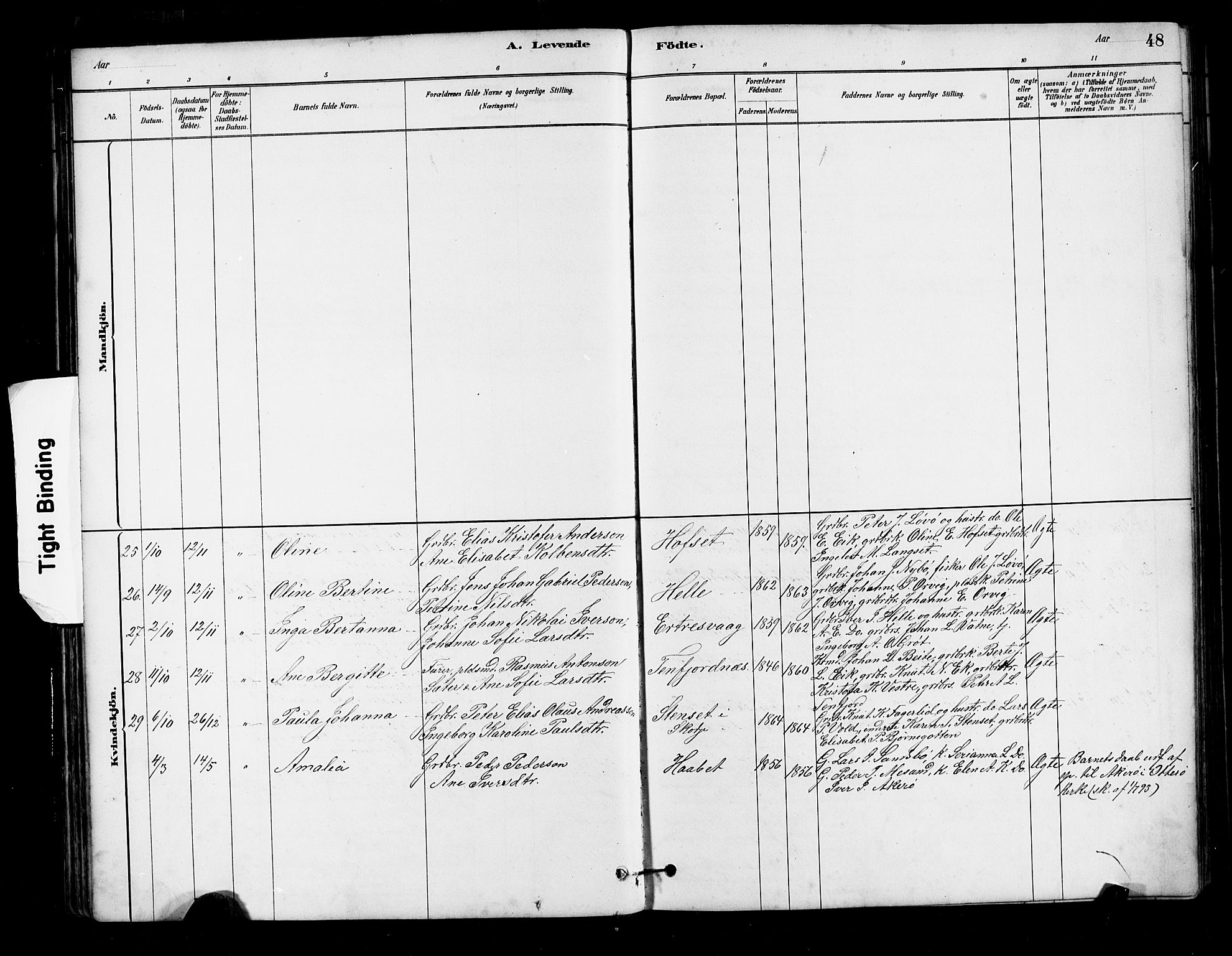 Ministerialprotokoller, klokkerbøker og fødselsregistre - Møre og Romsdal, AV/SAT-A-1454/525/L0376: Parish register (copy) no. 525C02, 1880-1902, p. 48