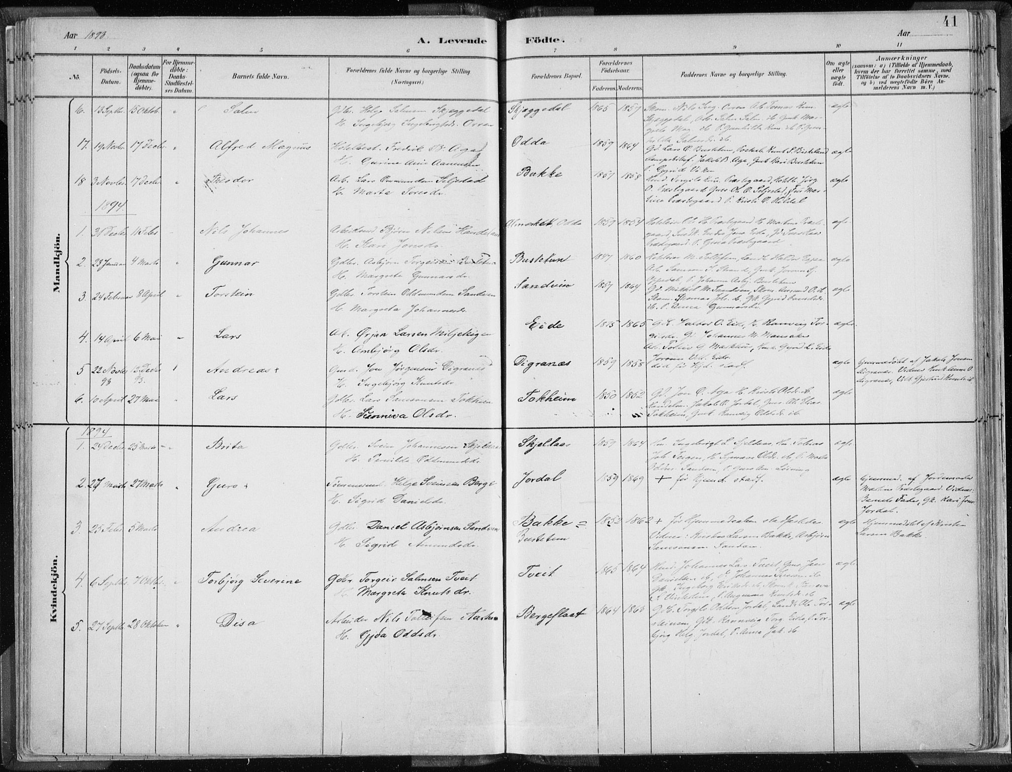 Odda Sokneprestembete, SAB/A-77201/H/Haa: Parish register (official) no. A  3, 1882-1913, p. 41