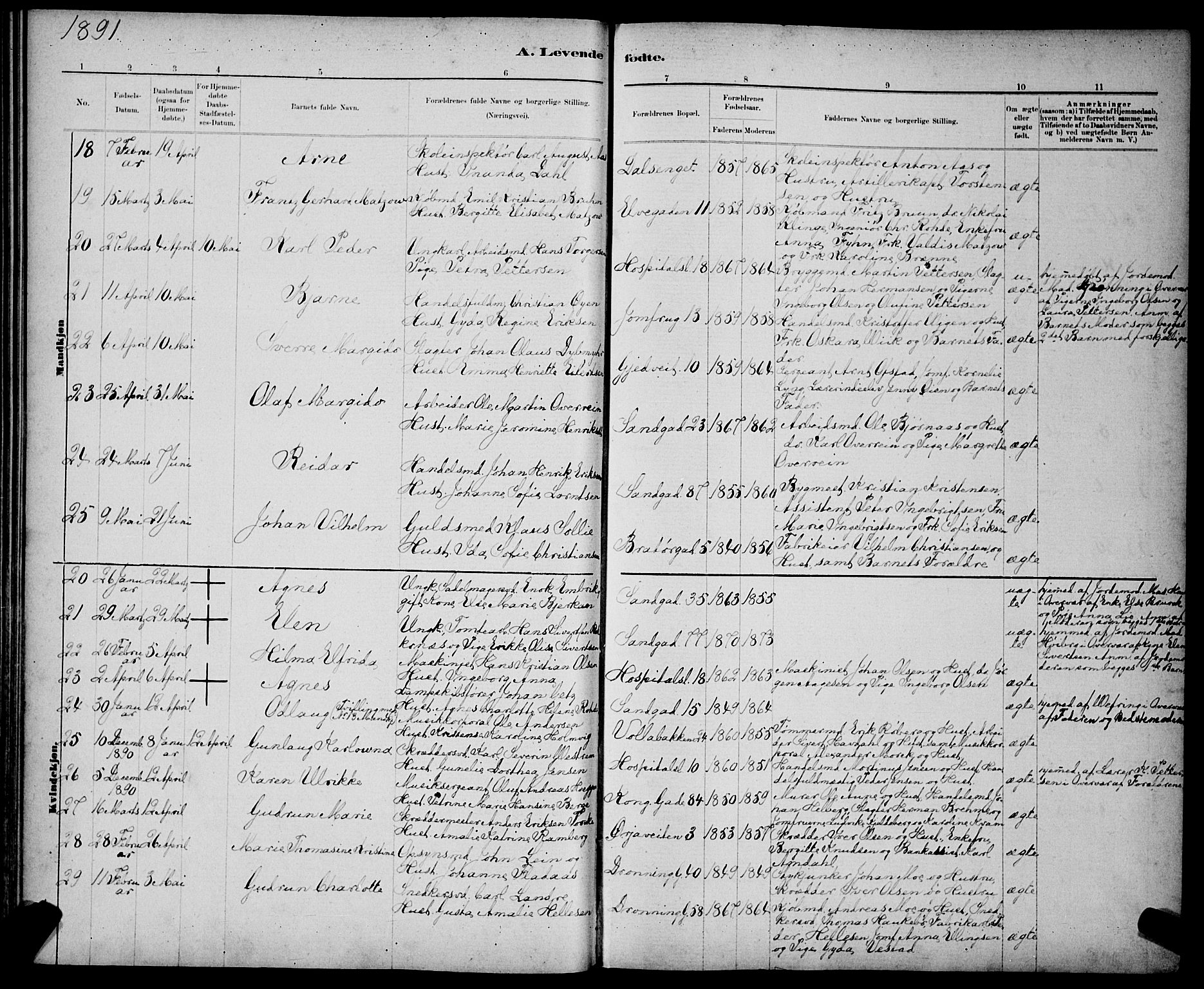 Ministerialprotokoller, klokkerbøker og fødselsregistre - Sør-Trøndelag, AV/SAT-A-1456/602/L0143: Parish register (copy) no. 602C11, 1878-1902