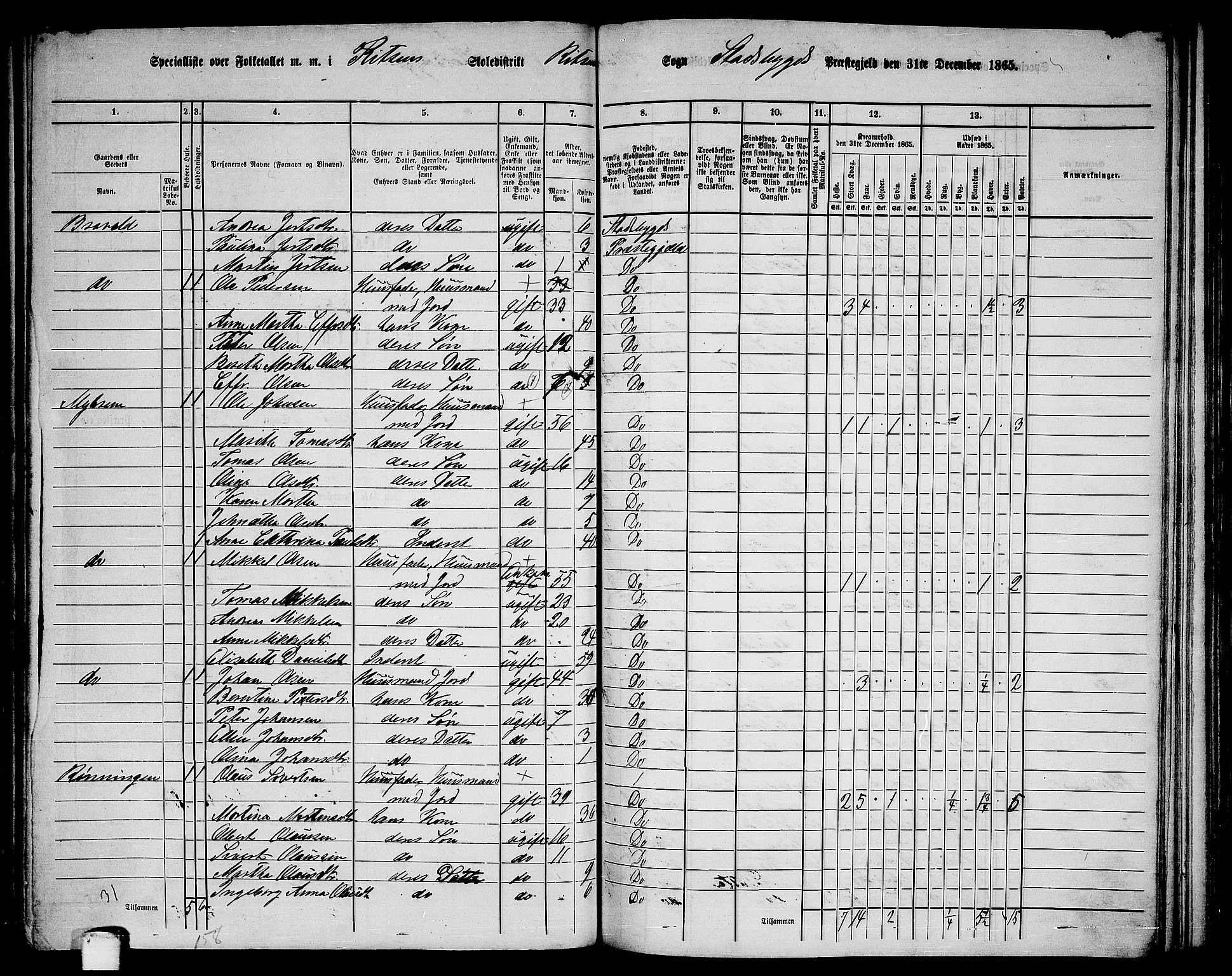 RA, 1865 census for Stadsbygd, 1865, p. 129