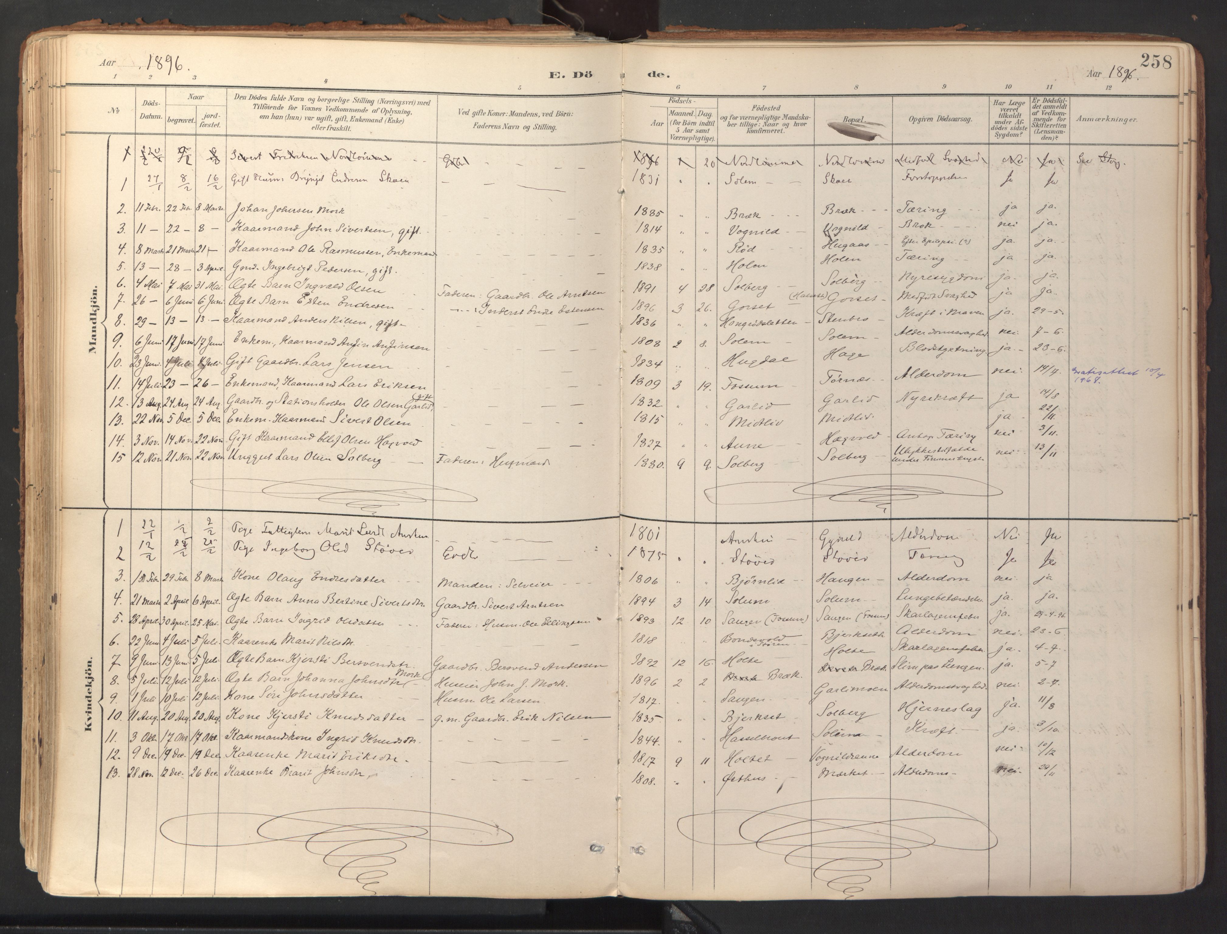 Ministerialprotokoller, klokkerbøker og fødselsregistre - Sør-Trøndelag, SAT/A-1456/689/L1041: Parish register (official) no. 689A06, 1891-1923, p. 258