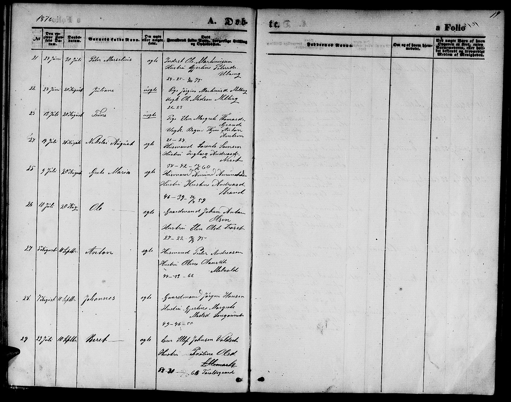 Ministerialprotokoller, klokkerbøker og fødselsregistre - Nord-Trøndelag, AV/SAT-A-1458/733/L0326: Parish register (copy) no. 733C01, 1871-1887, p. 19