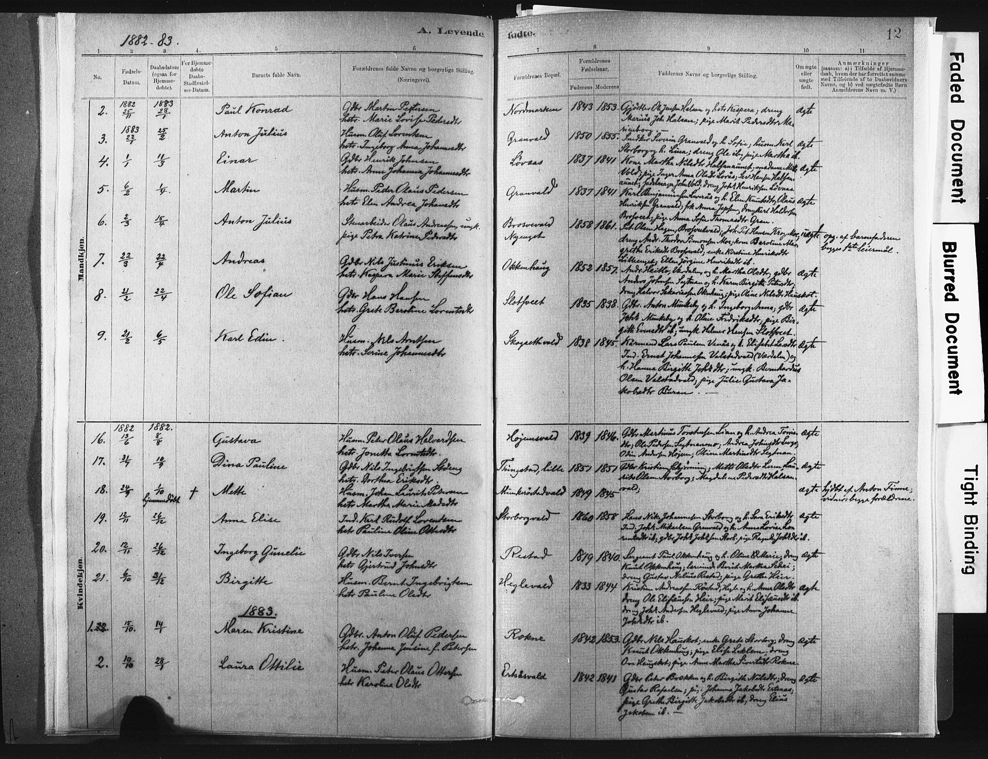 Ministerialprotokoller, klokkerbøker og fødselsregistre - Nord-Trøndelag, SAT/A-1458/721/L0207: Parish register (official) no. 721A02, 1880-1911, p. 12