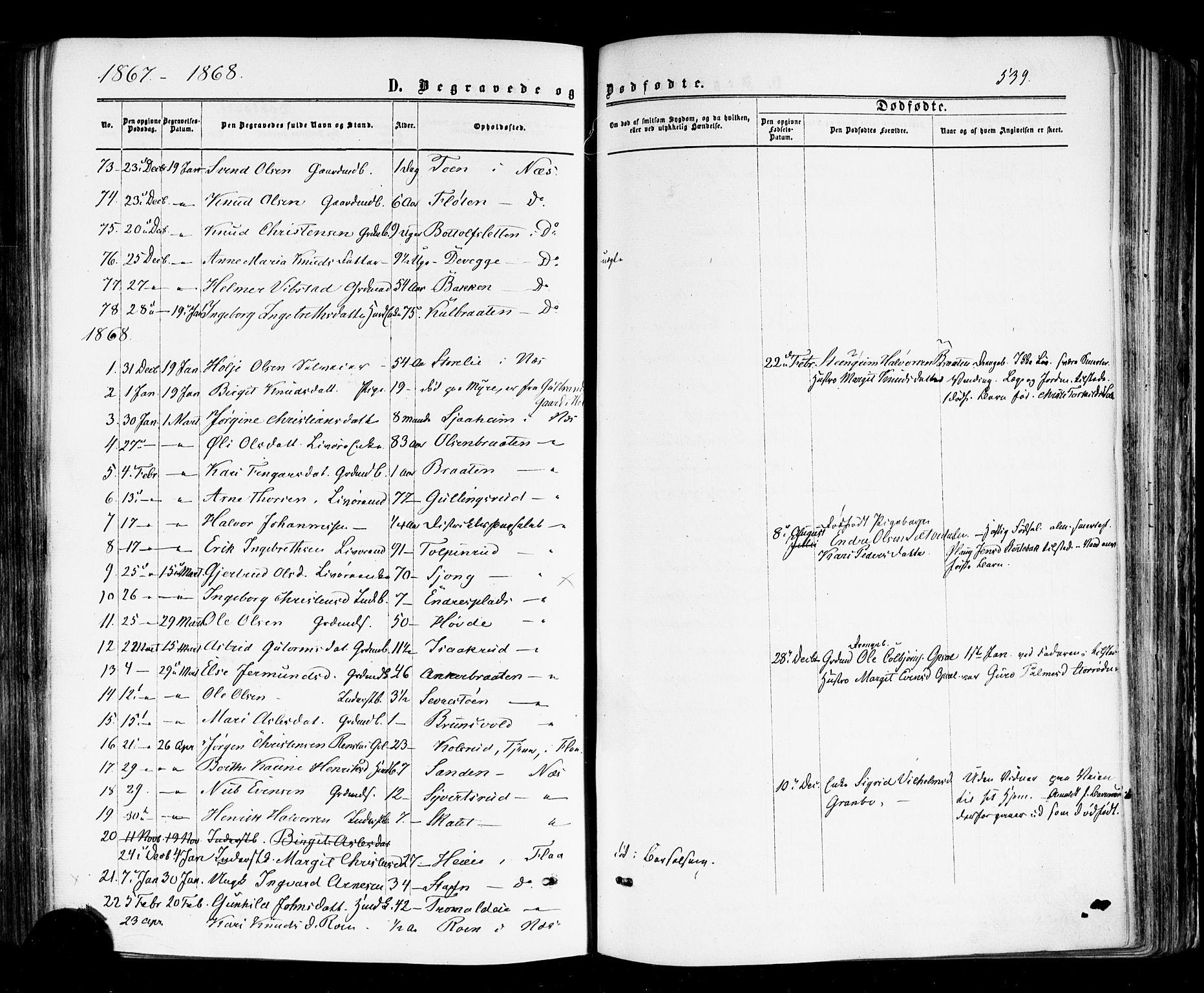 Nes kirkebøker, SAKO/A-236/F/Fa/L0010: Parish register (official) no. 10, 1864-1880, p. 539