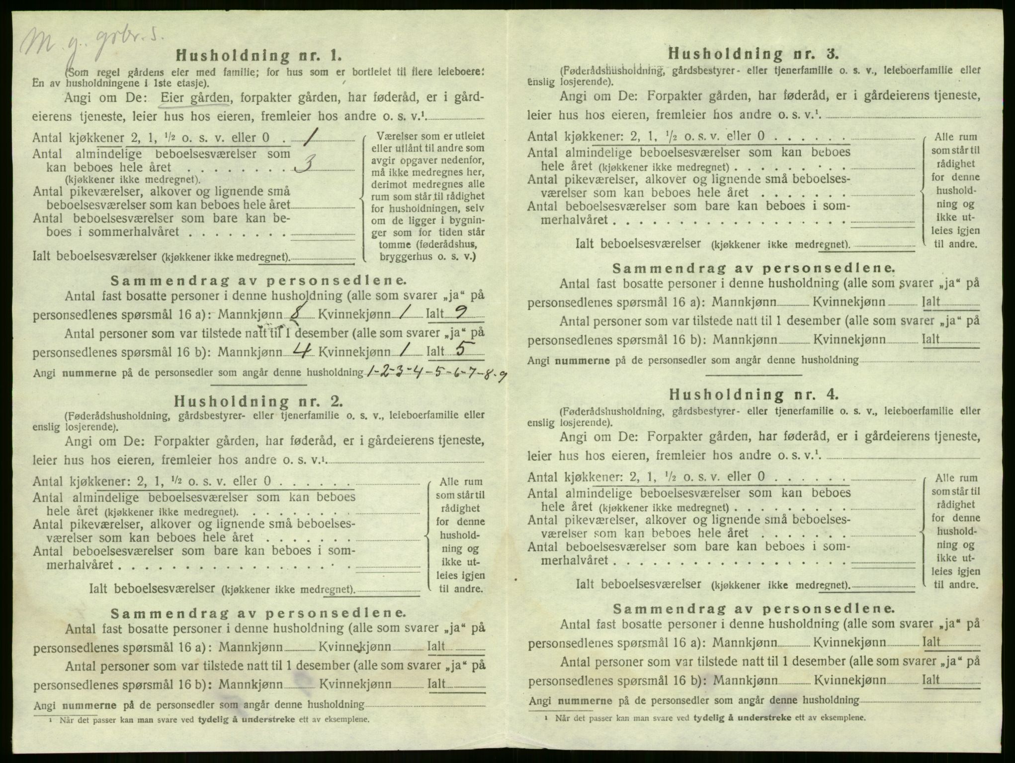 SAKO, 1920 census for Uvdal, 1920, p. 36