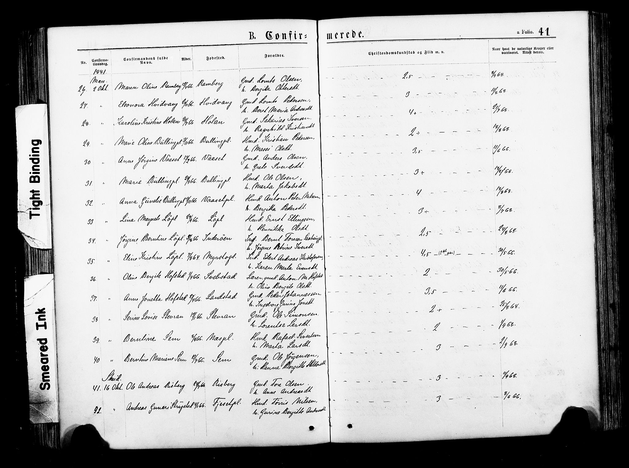 Ministerialprotokoller, klokkerbøker og fødselsregistre - Nord-Trøndelag, AV/SAT-A-1458/735/L0348: Parish register (official) no. 735A09 /1, 1873-1883, p. 41