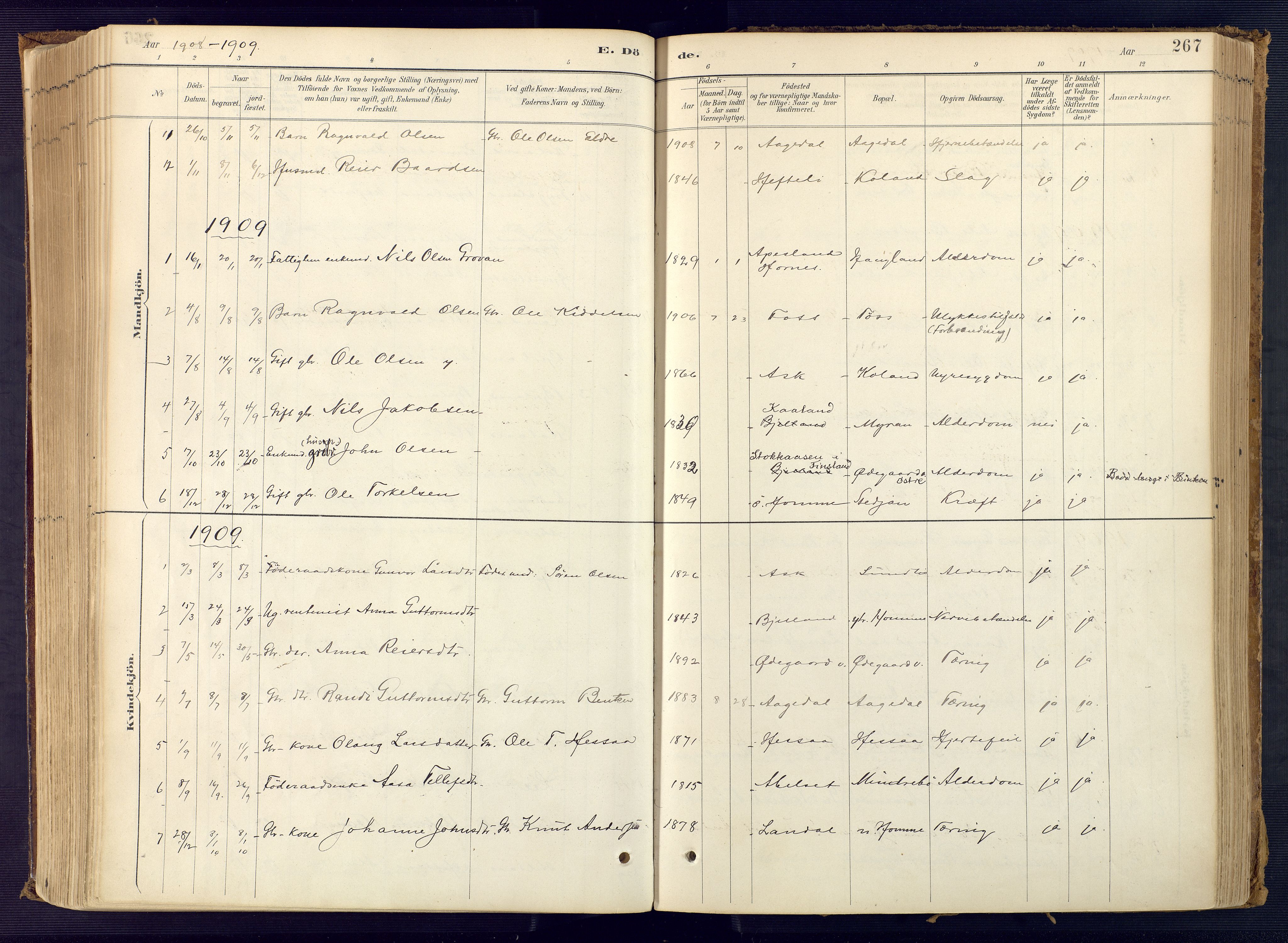 Bjelland sokneprestkontor, SAK/1111-0005/F/Fa/Faa/L0004: Parish register (official) no. A 4, 1887-1923, p. 267