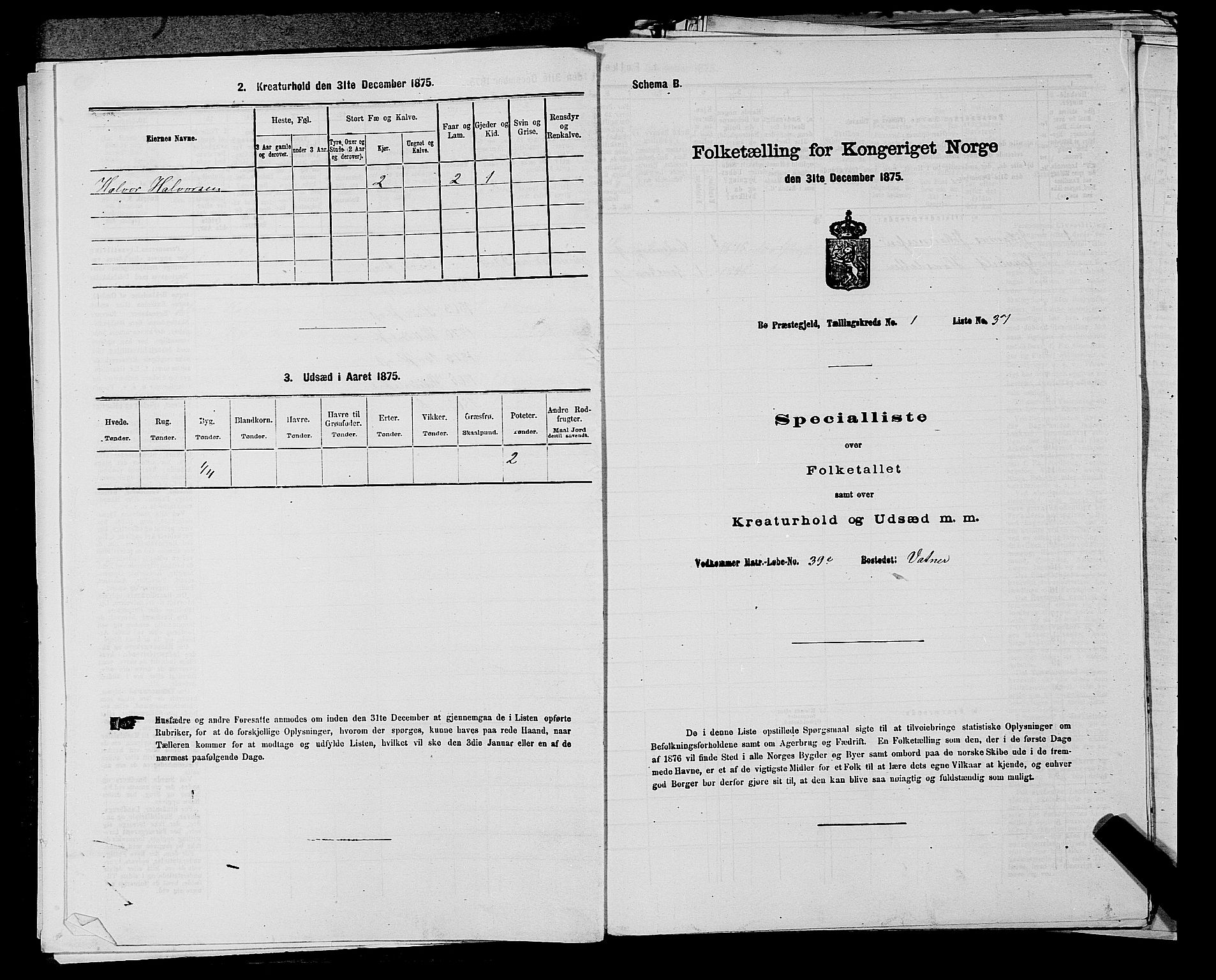 SAKO, 1875 census for 0821P Bø, 1875, p. 113