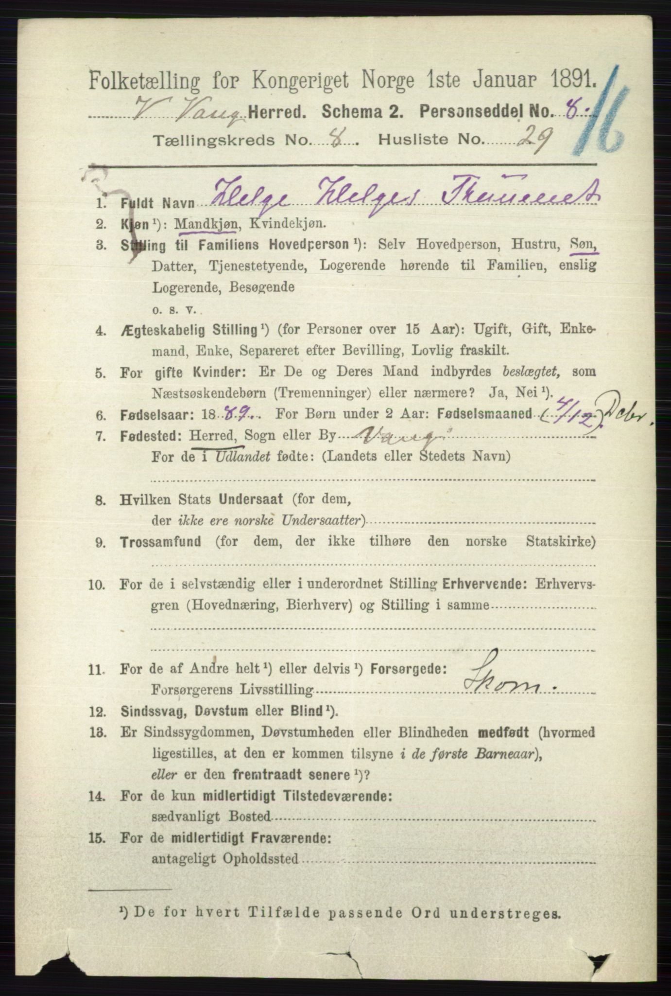 RA, 1891 census for 0545 Vang, 1891, p. 1916