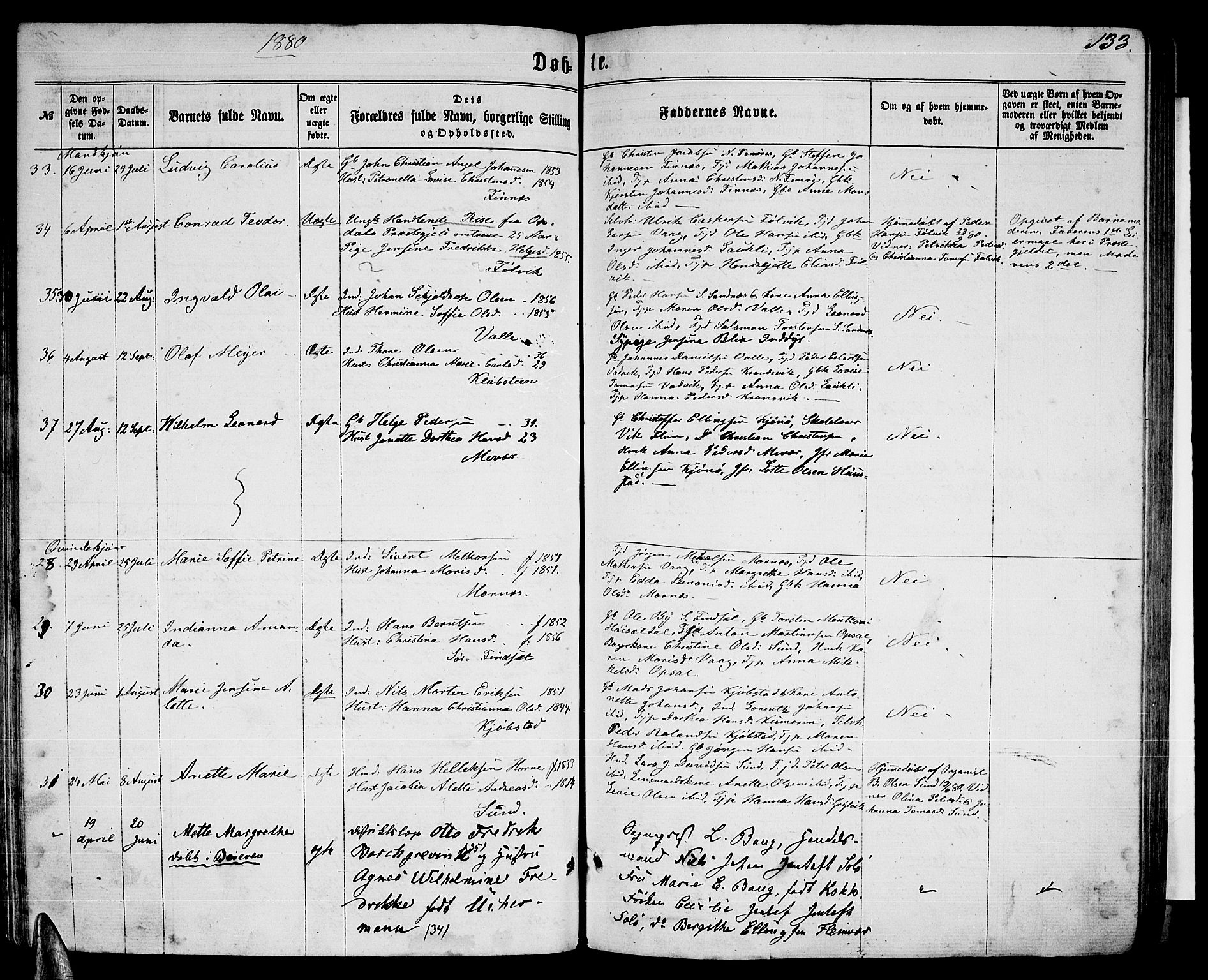 Ministerialprotokoller, klokkerbøker og fødselsregistre - Nordland, AV/SAT-A-1459/805/L0107: Parish register (copy) no. 805C03, 1862-1885, p. 133