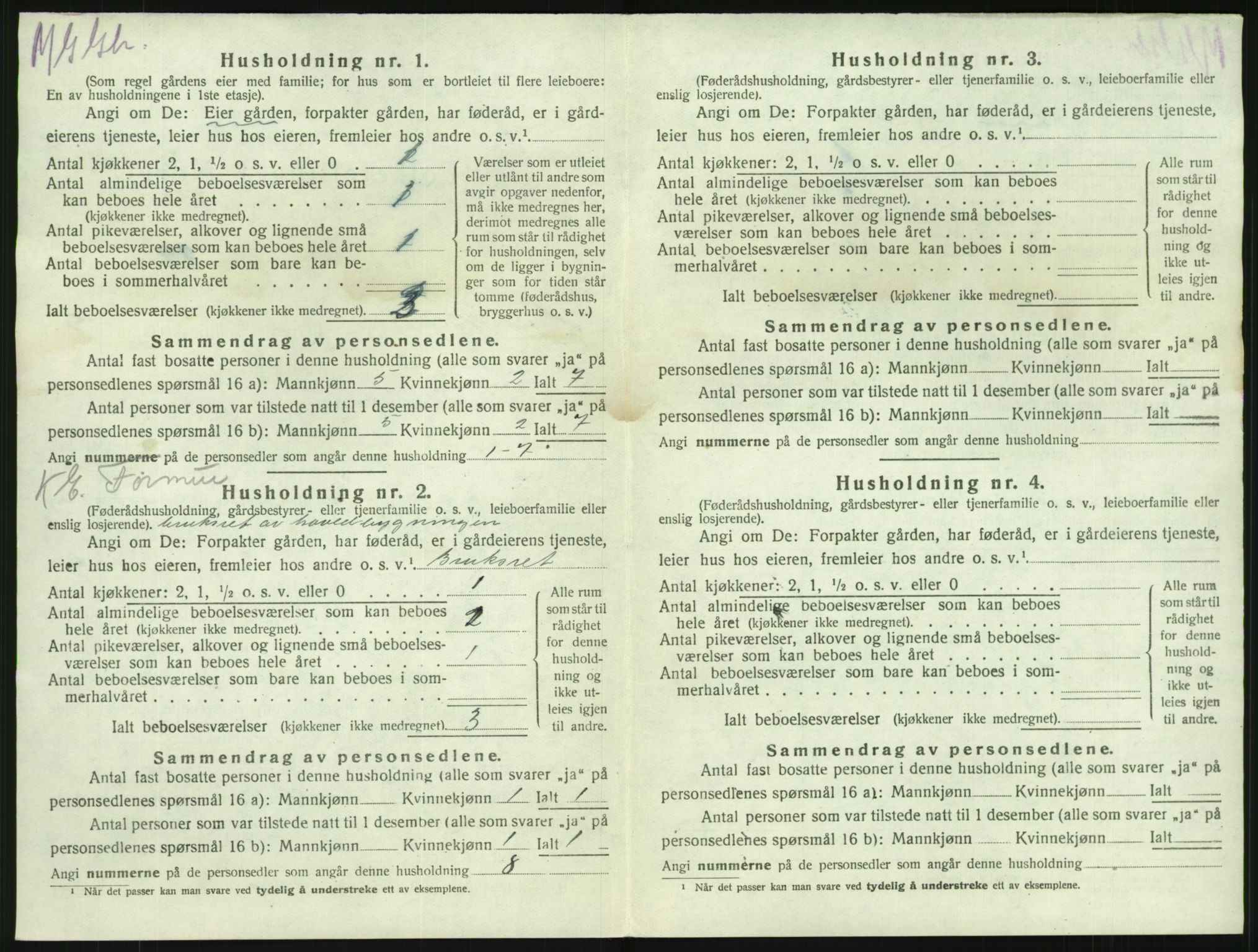 SAKO, 1920 census for Brunlanes, 1920, p. 1238