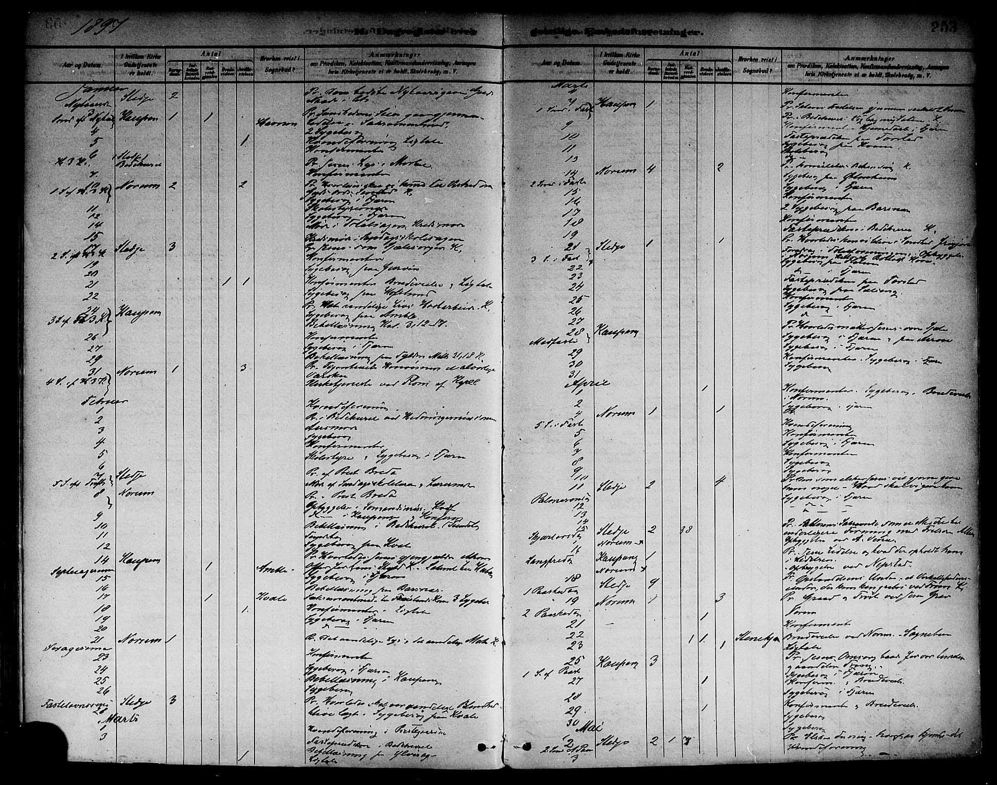 Sogndal sokneprestembete, AV/SAB-A-81301/H/Haa/Haab/L0001: Parish register (official) no. B 1, 1878-1899, p. 253