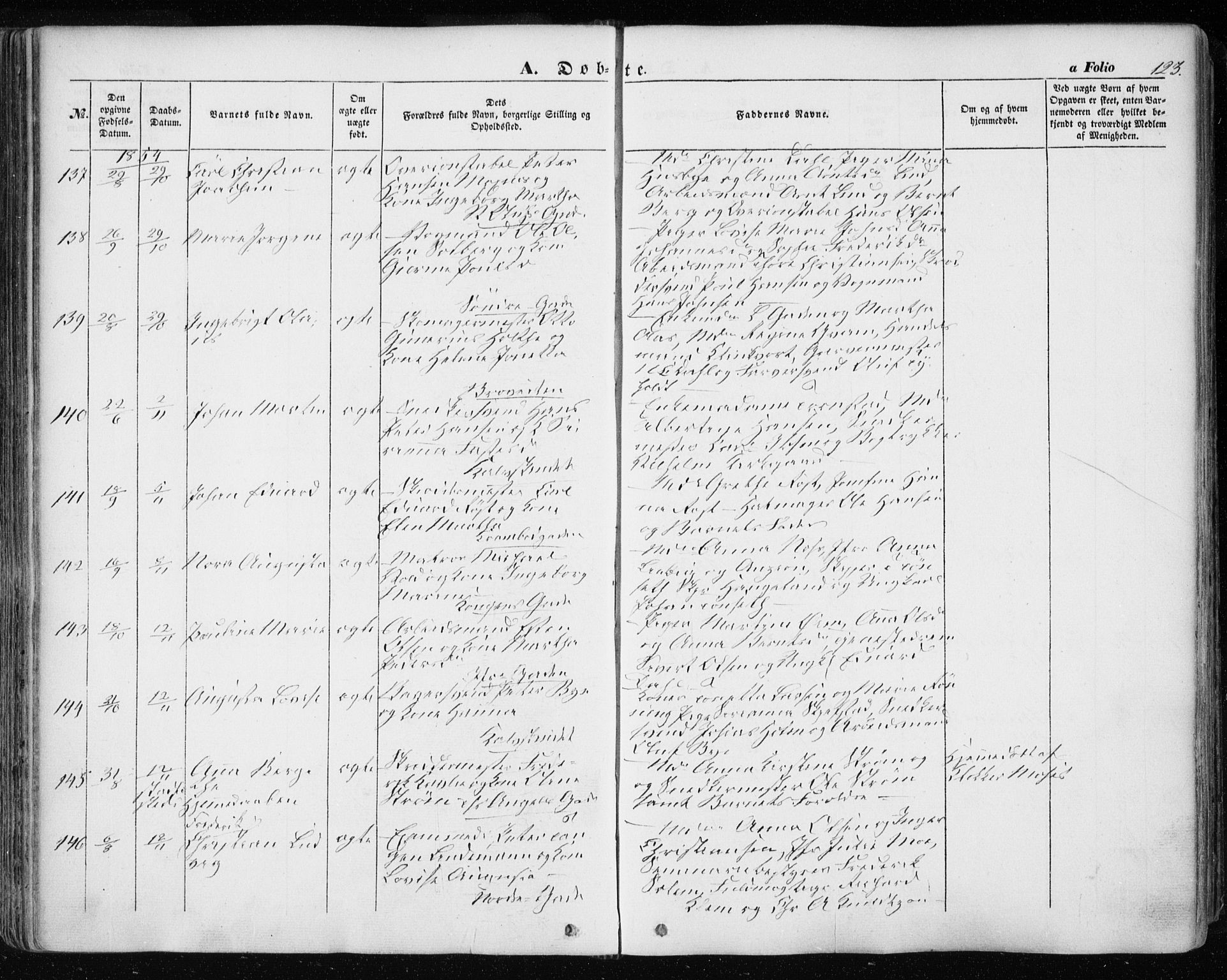 Ministerialprotokoller, klokkerbøker og fødselsregistre - Sør-Trøndelag, SAT/A-1456/601/L0051: Parish register (official) no. 601A19, 1848-1857, p. 123